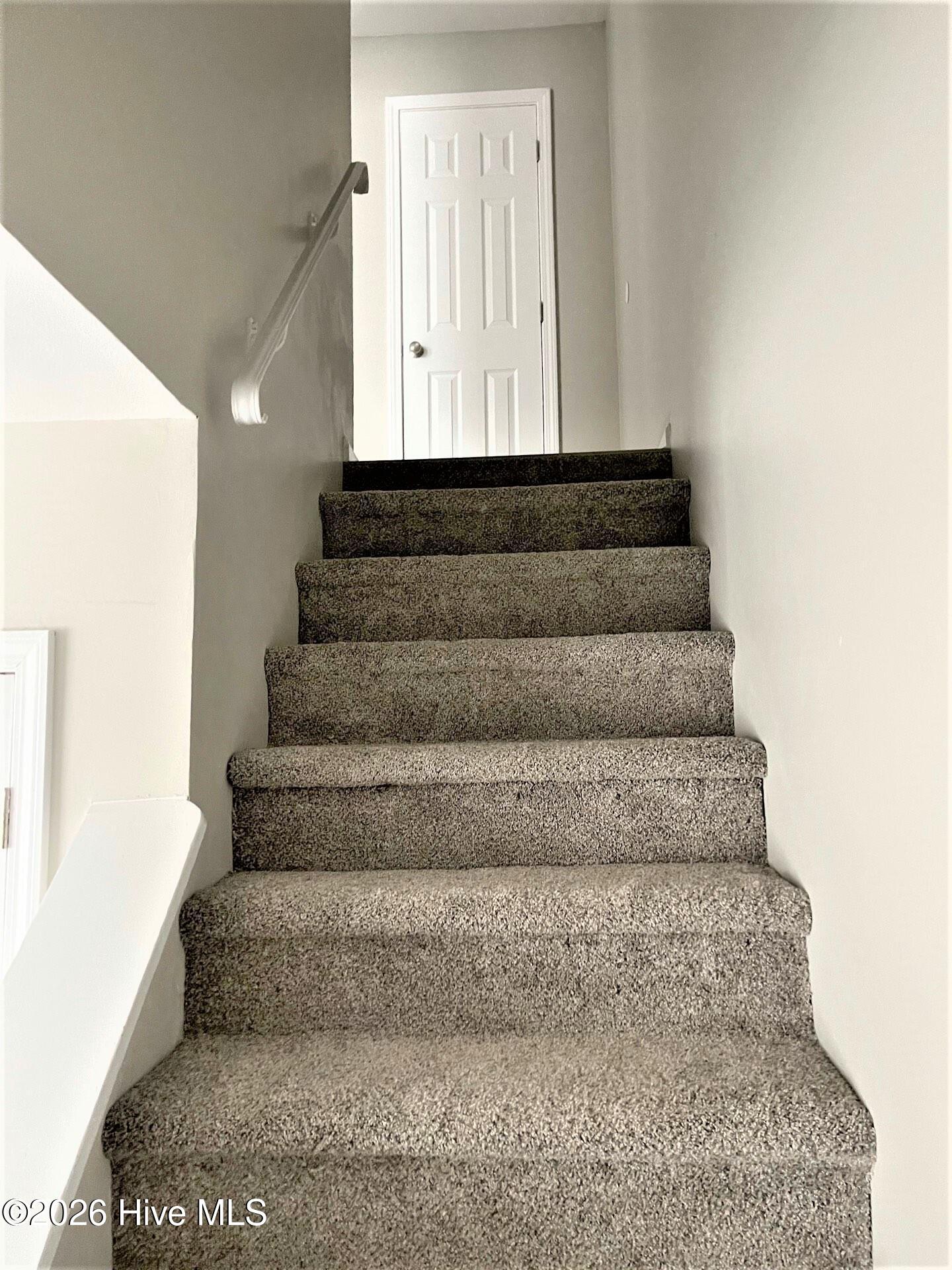 100566480 | Photo 10