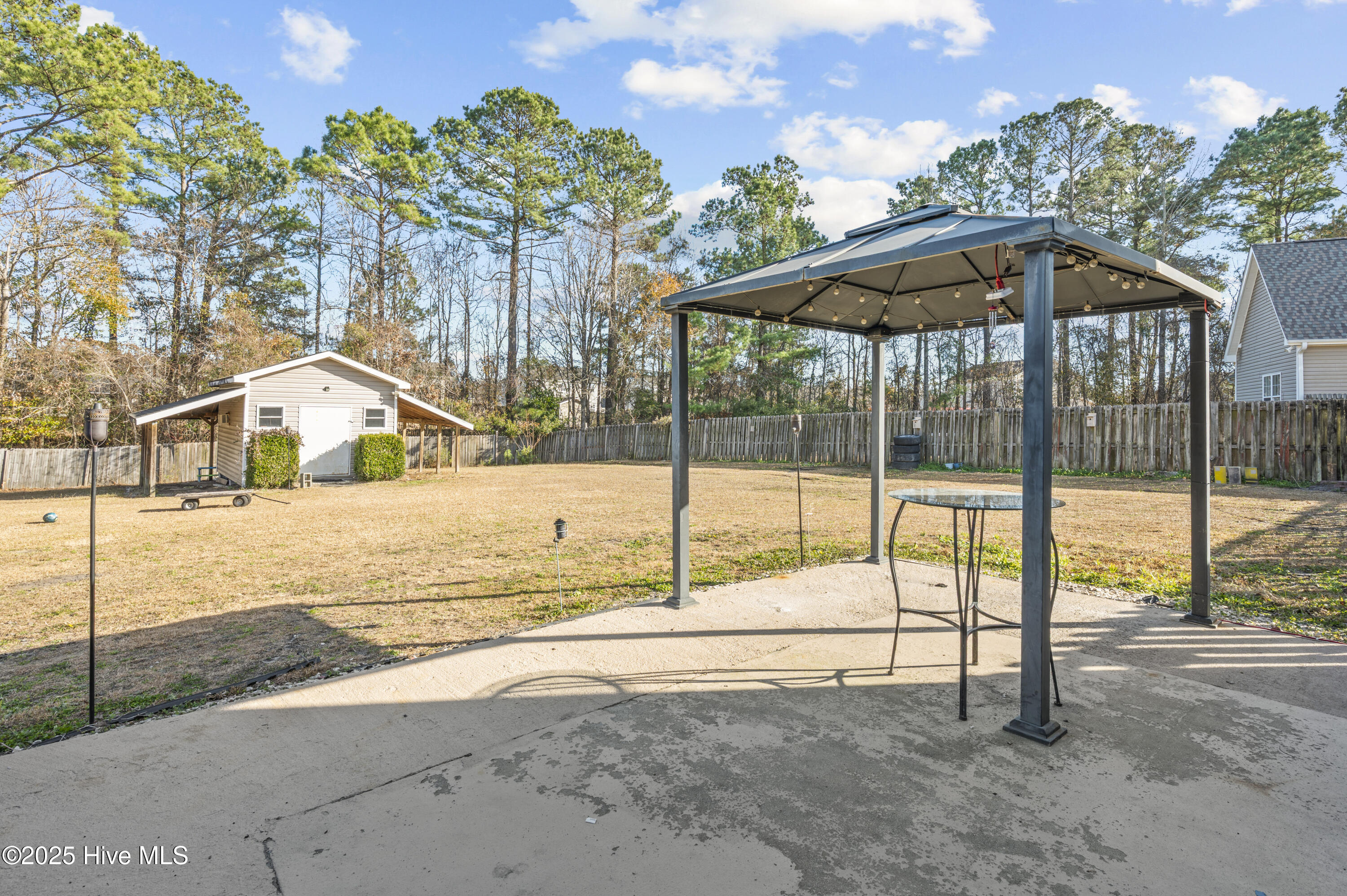 100546481 | Photo 32