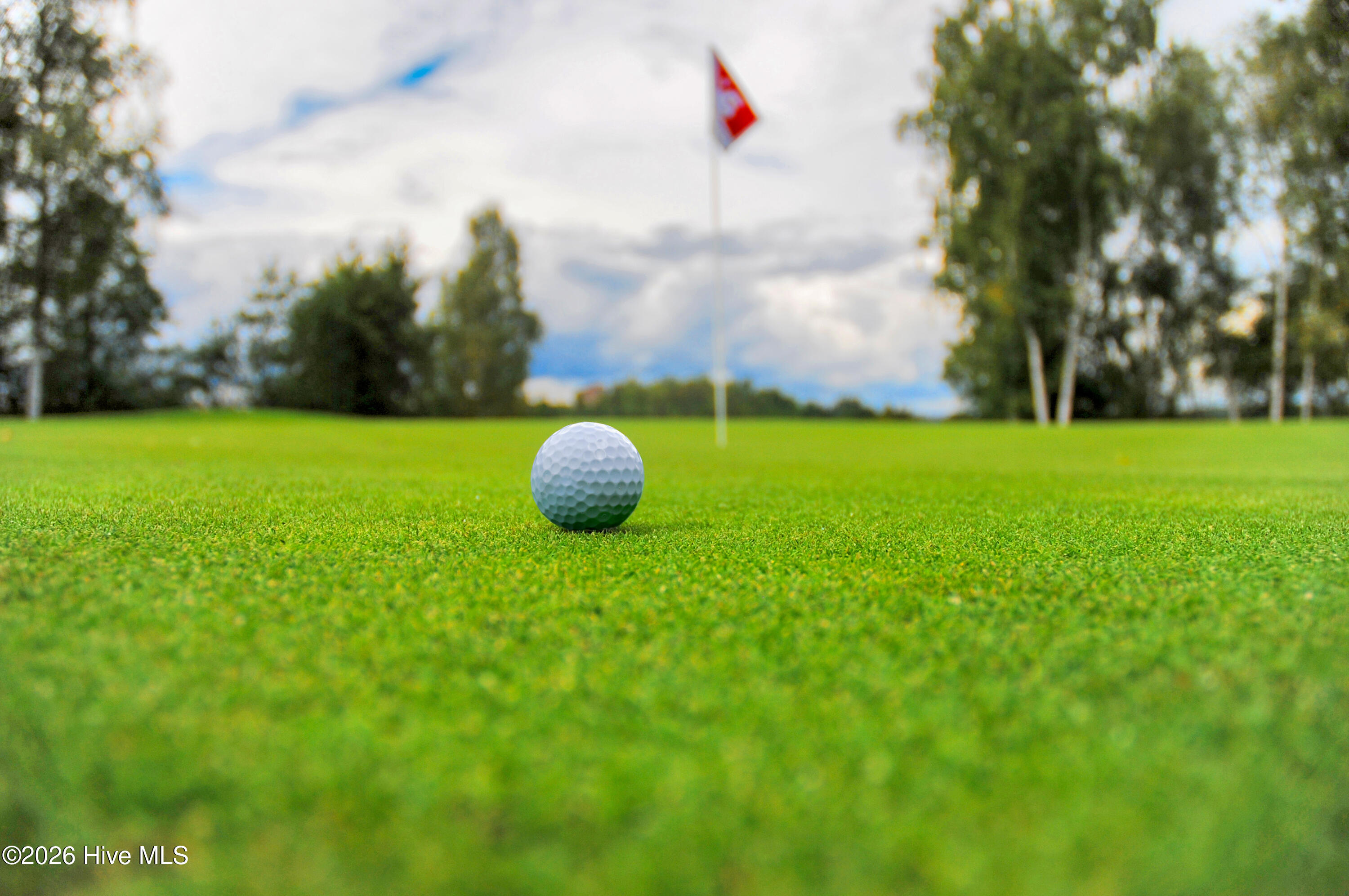 Golf ball on green with flag