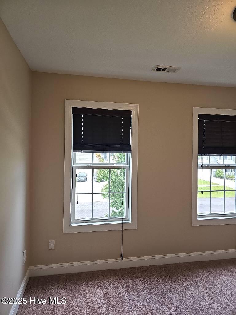 100541089 | Photo 20