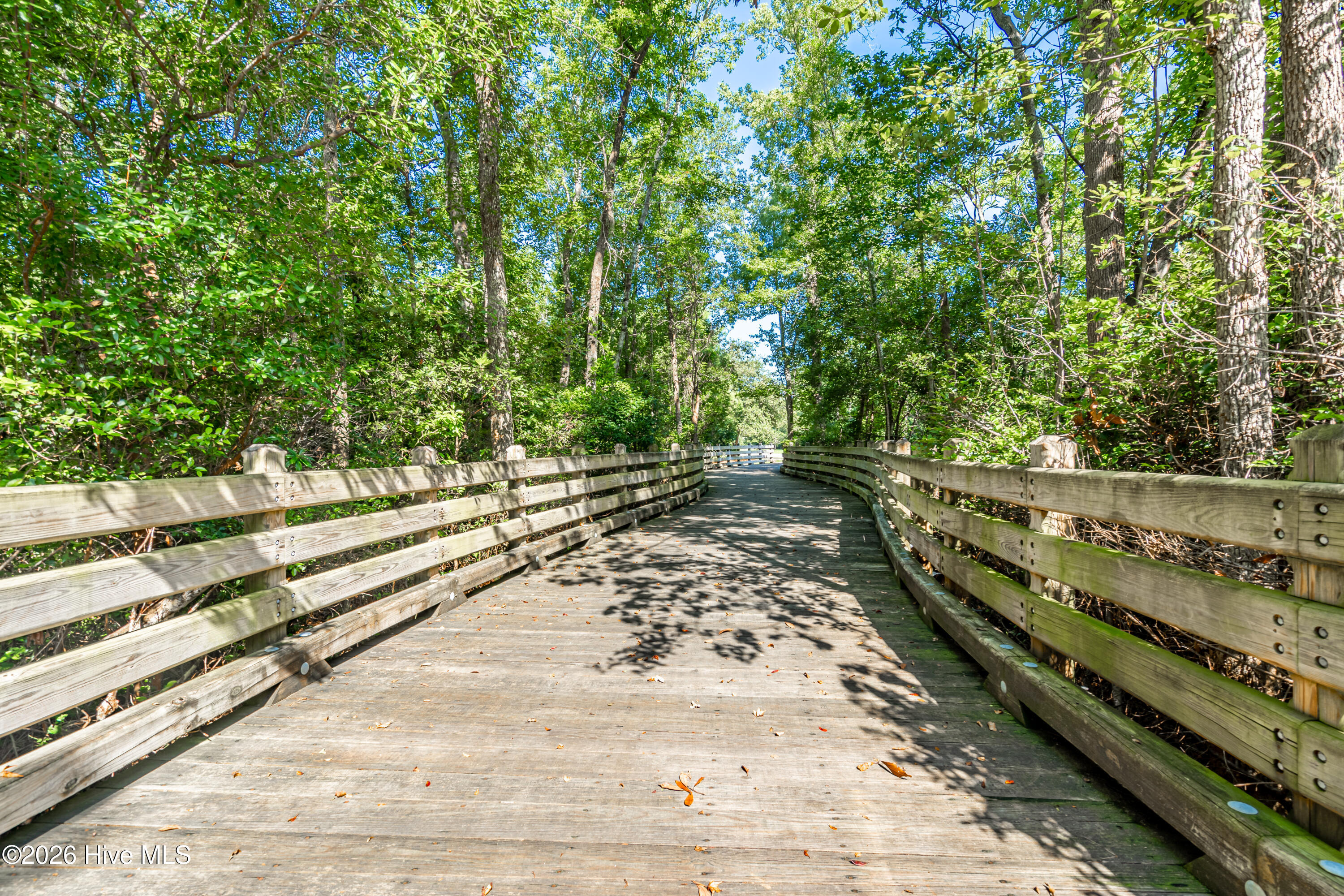 100553461 | Photo 53