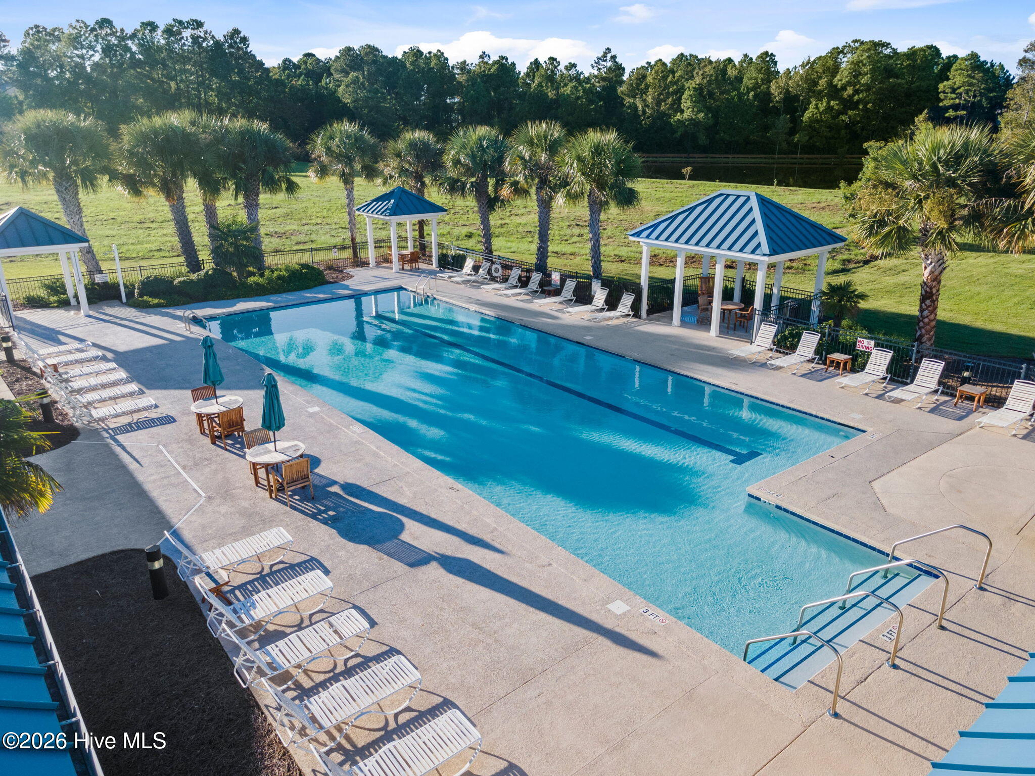 100558895 | Photo 66