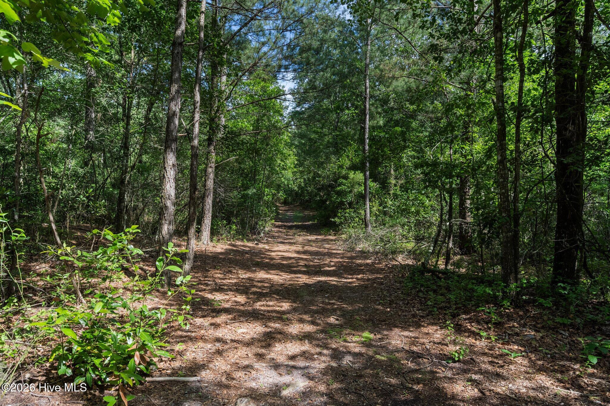 100547196 | Photo 15