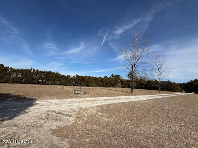 100552157 | Photo 41