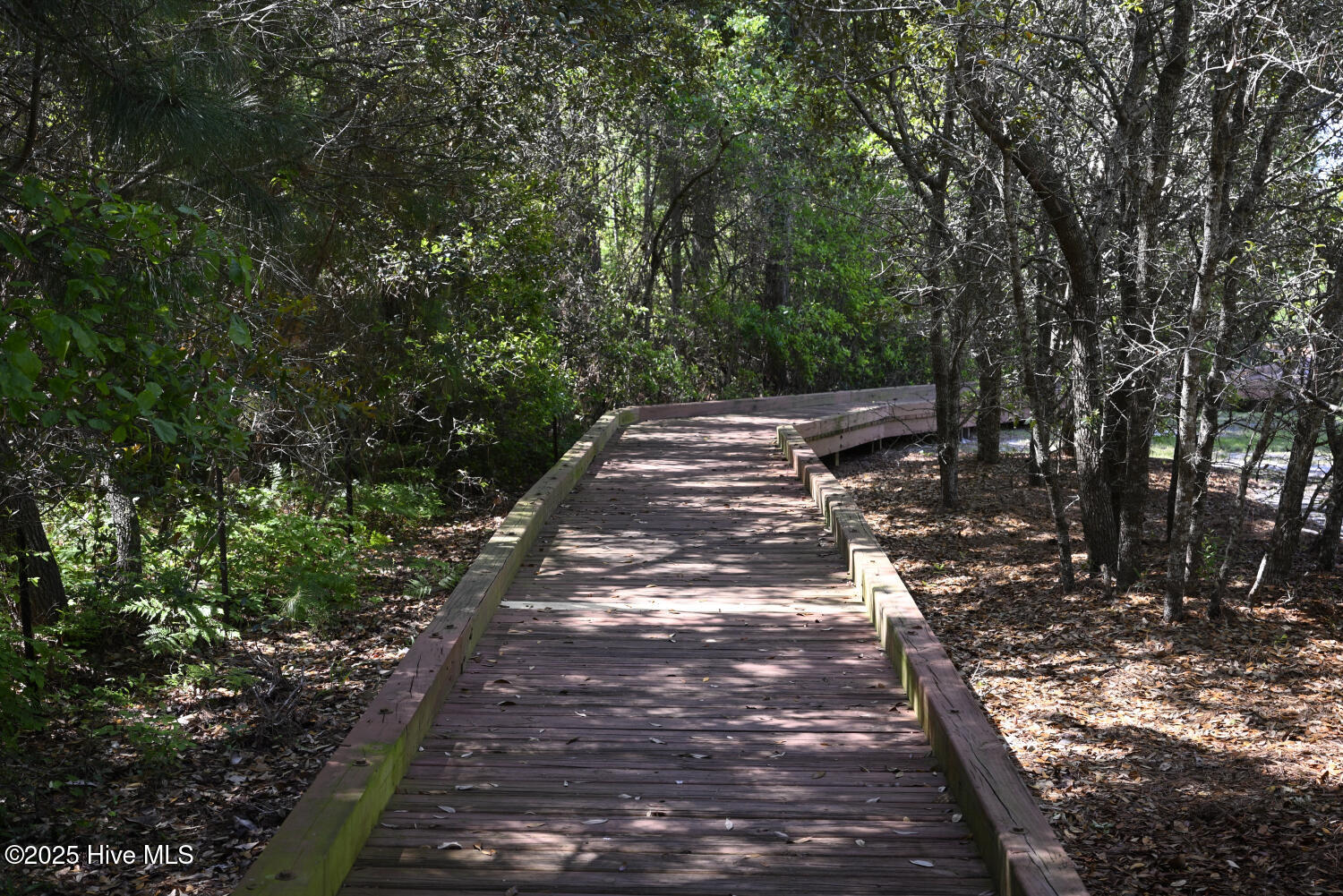 100503609 | Photo 38