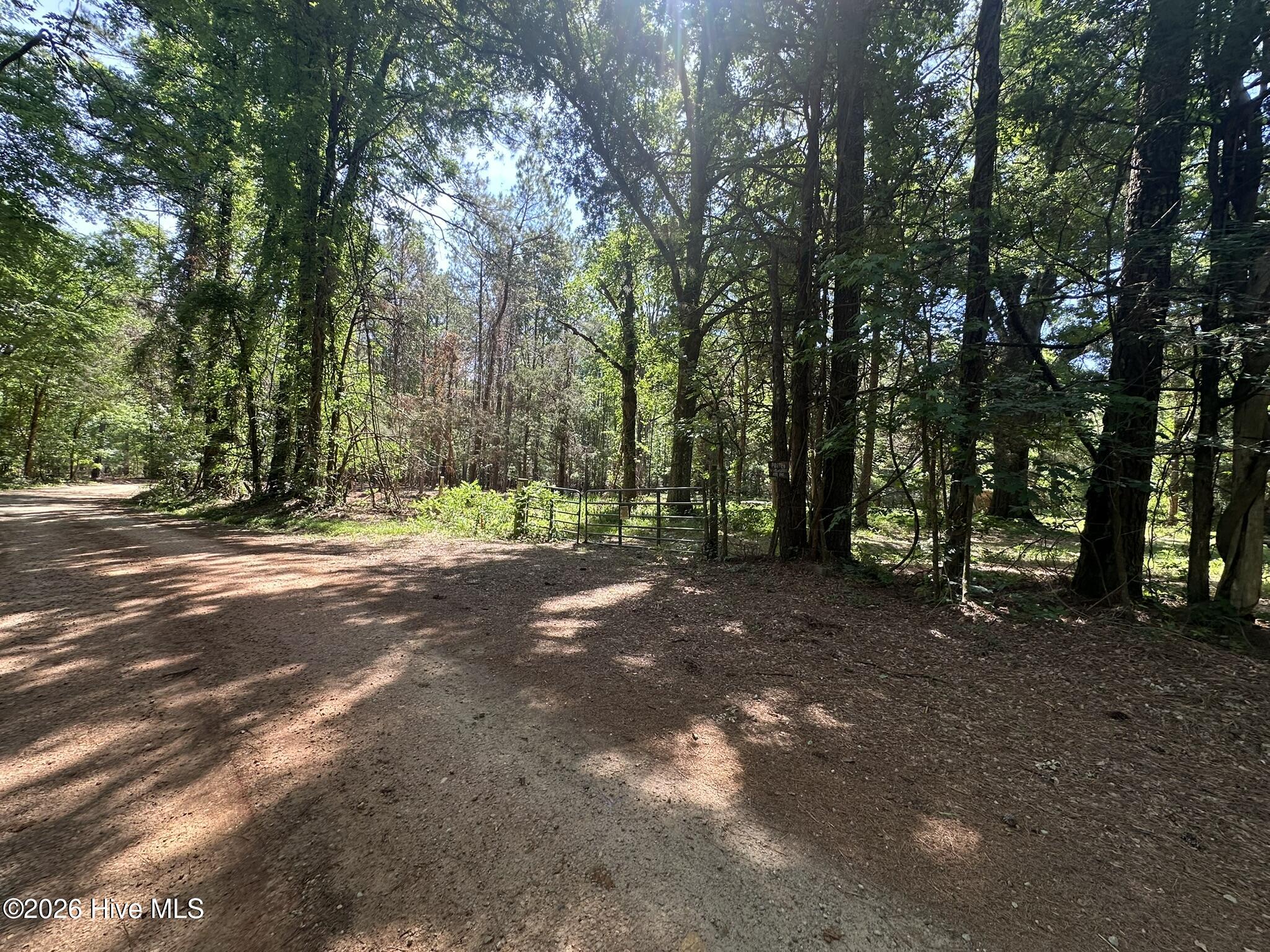 Homes for sale in Washington, GA | Lot 4 Saggus Rd, Washington, GA 30673 | MLS# 100573053