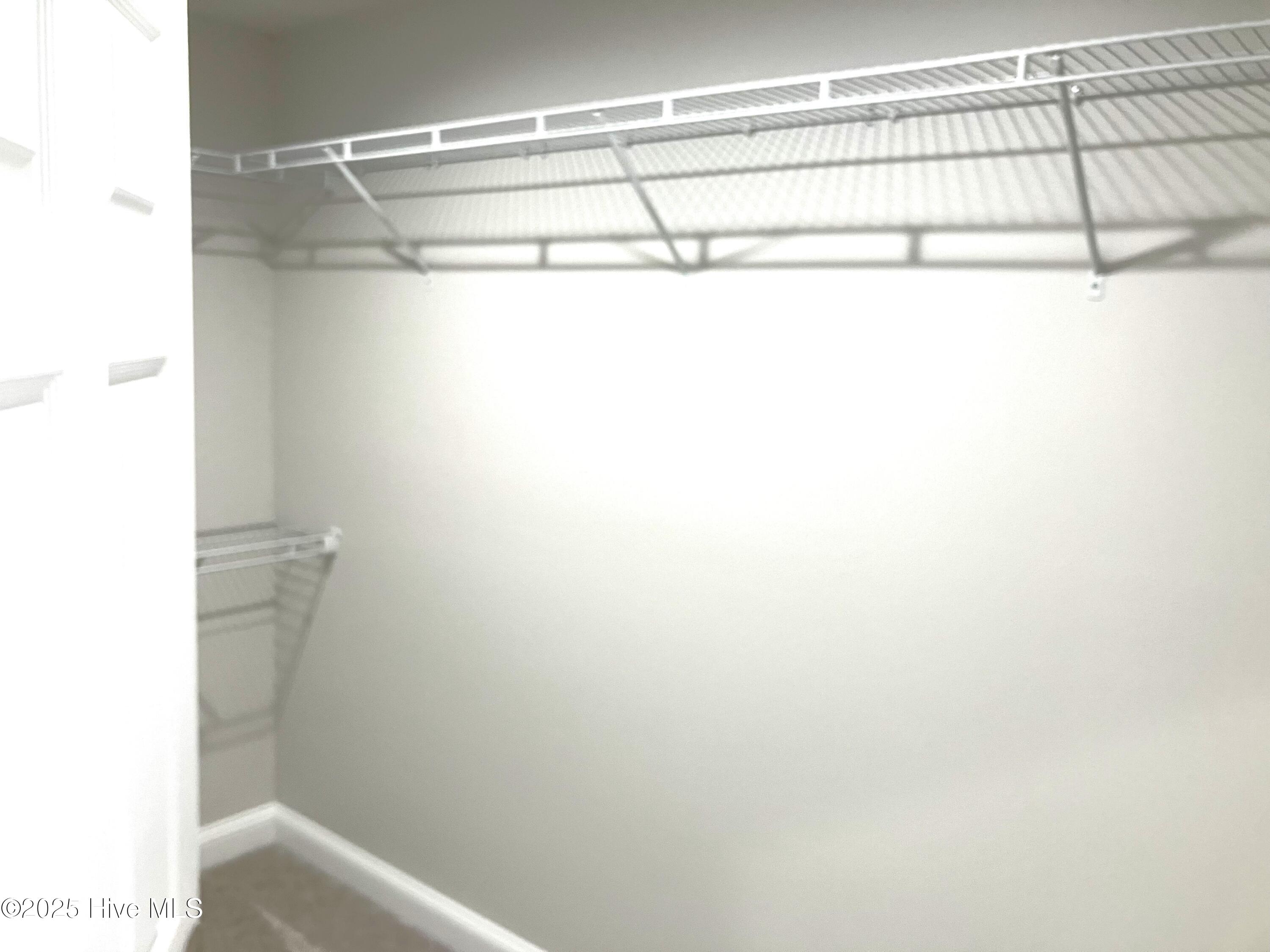 100514031 | Photo 24