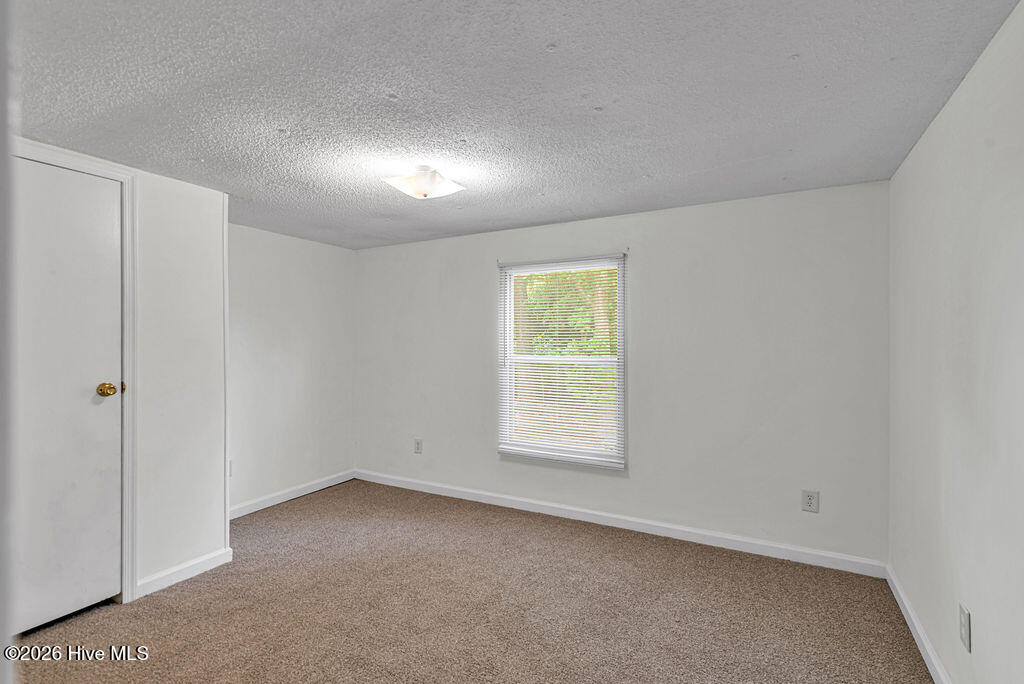 100558484 | Photo 21