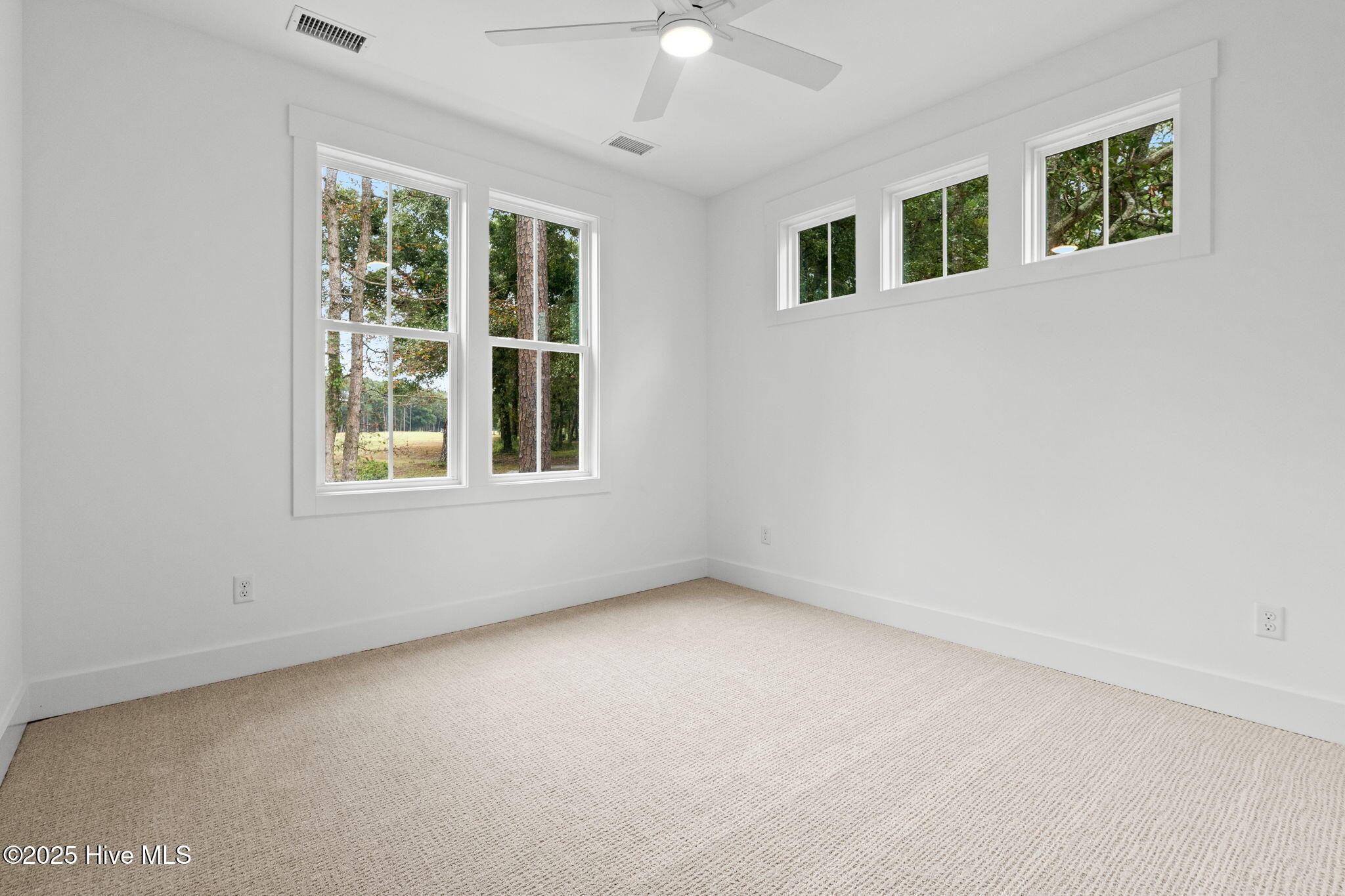 100530542 | Photo 37