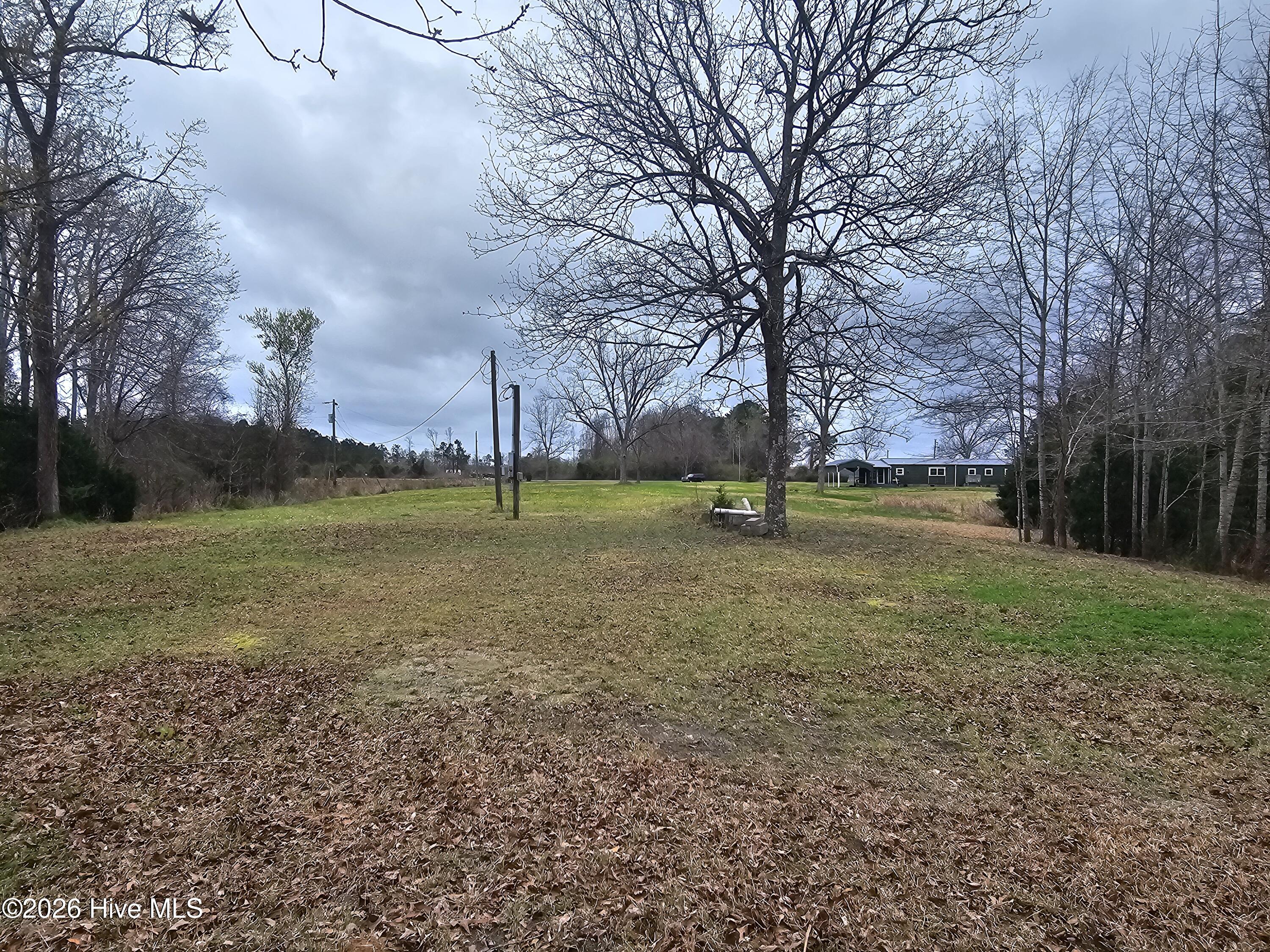 View from the back of the property to the road.