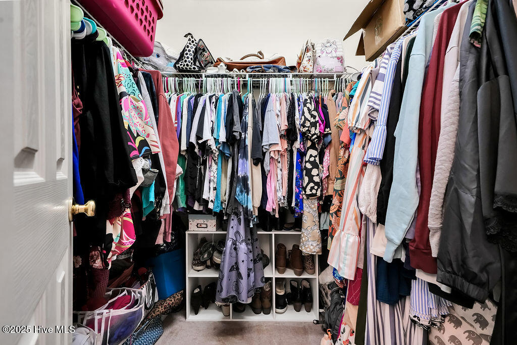 100536074 | Photo 19