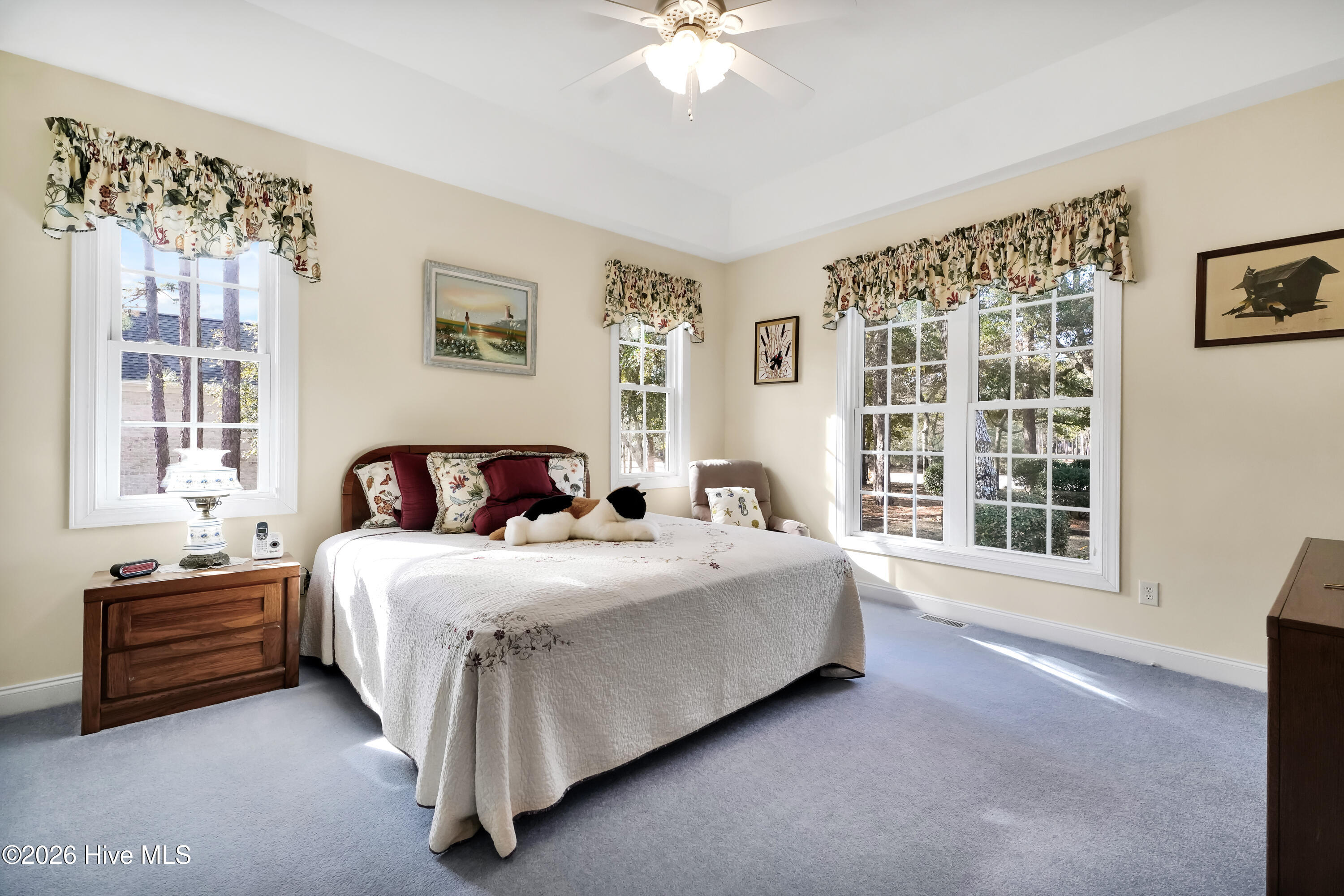 100549452 | Photo 16