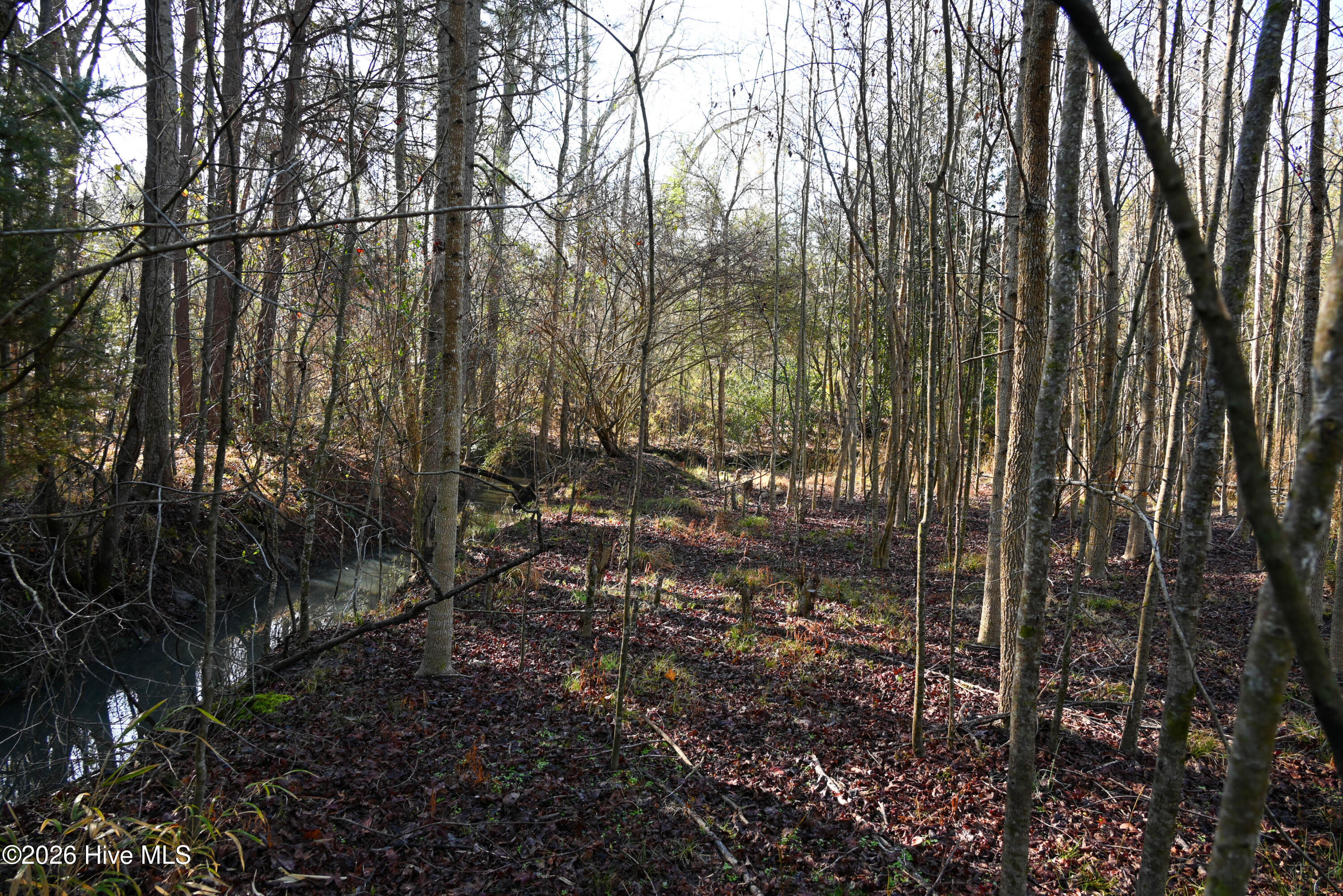 100560038 | Photo 24