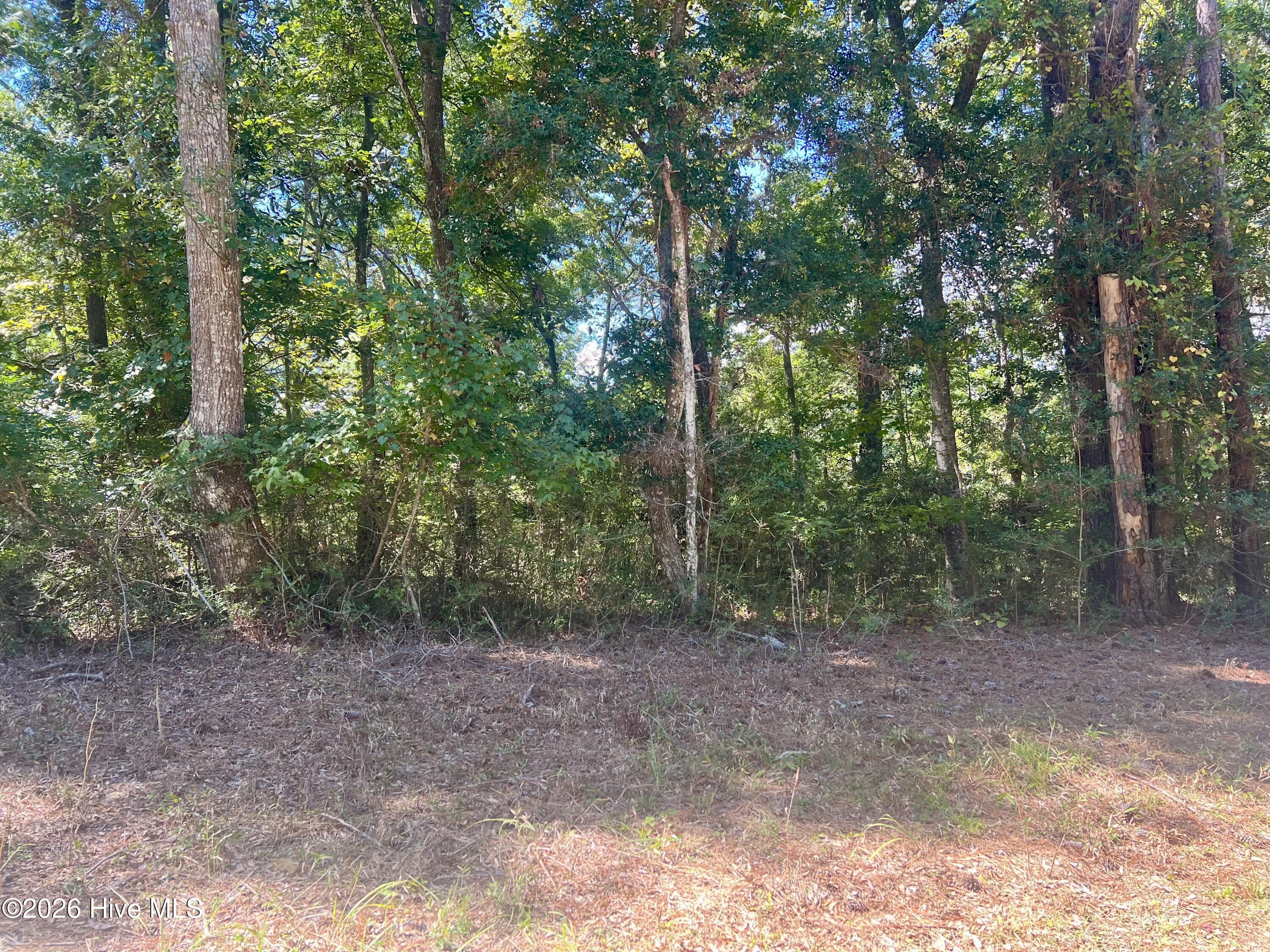 100607563 | Photo 2