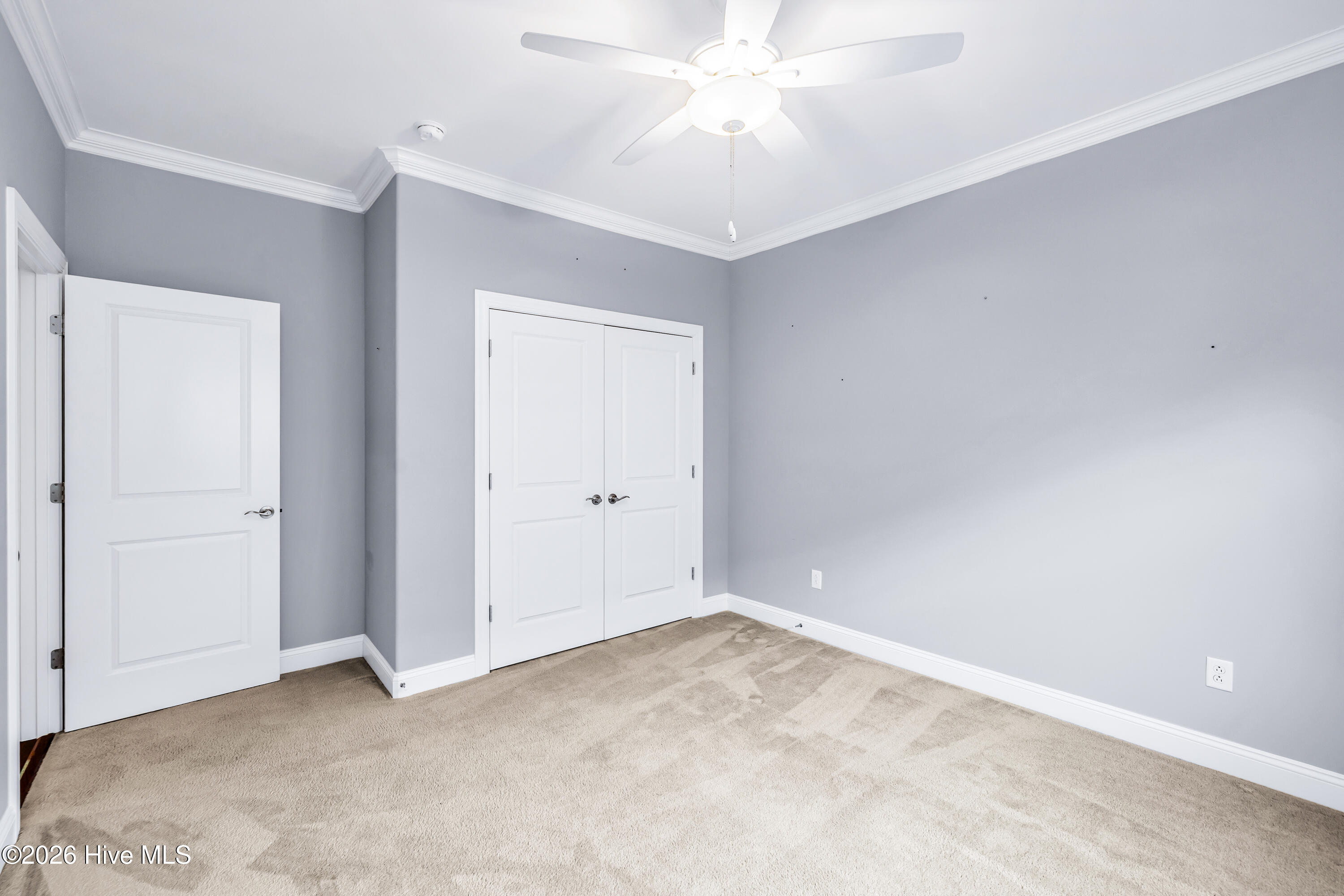 100550205 | Photo 51