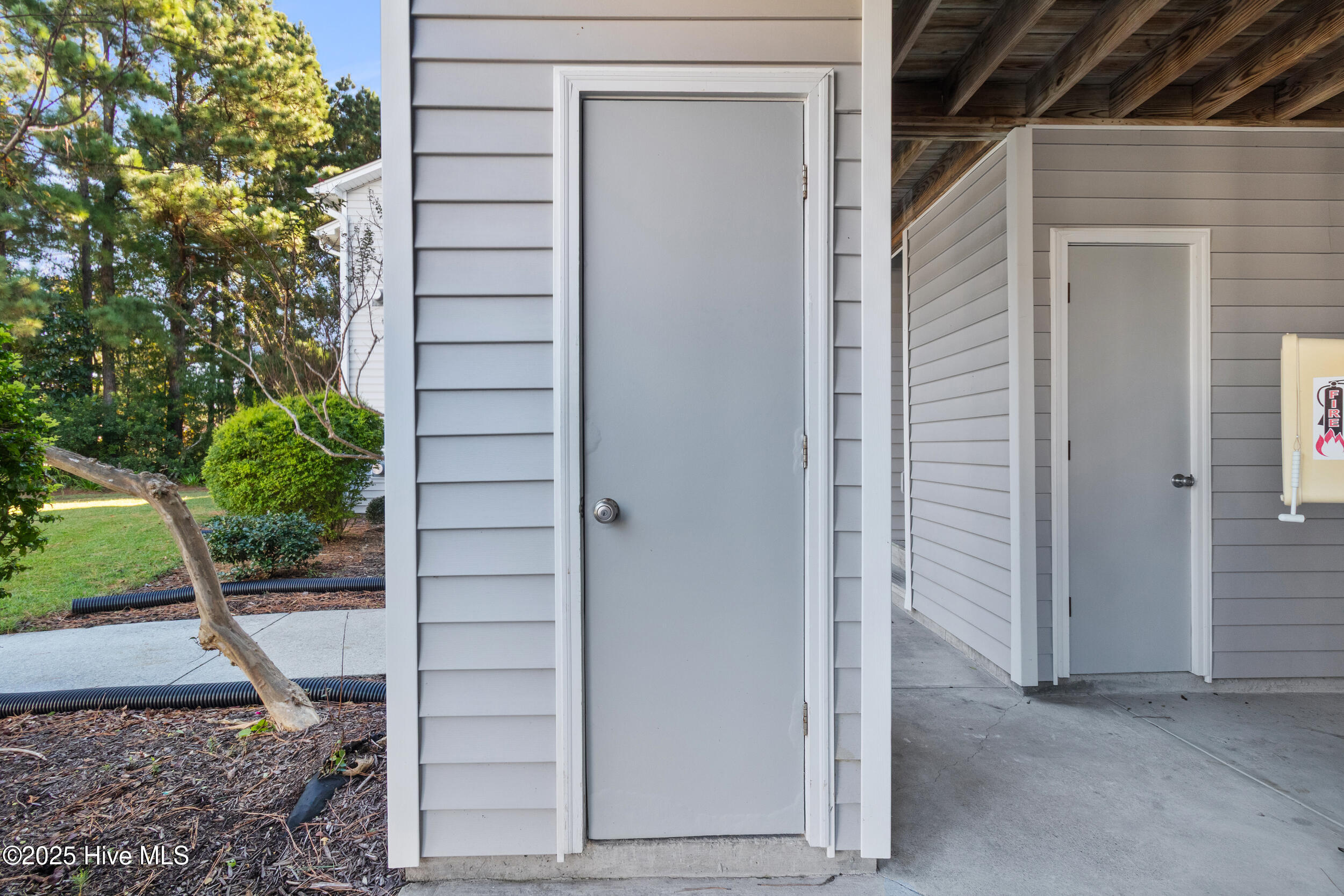 100557109 | Photo 23