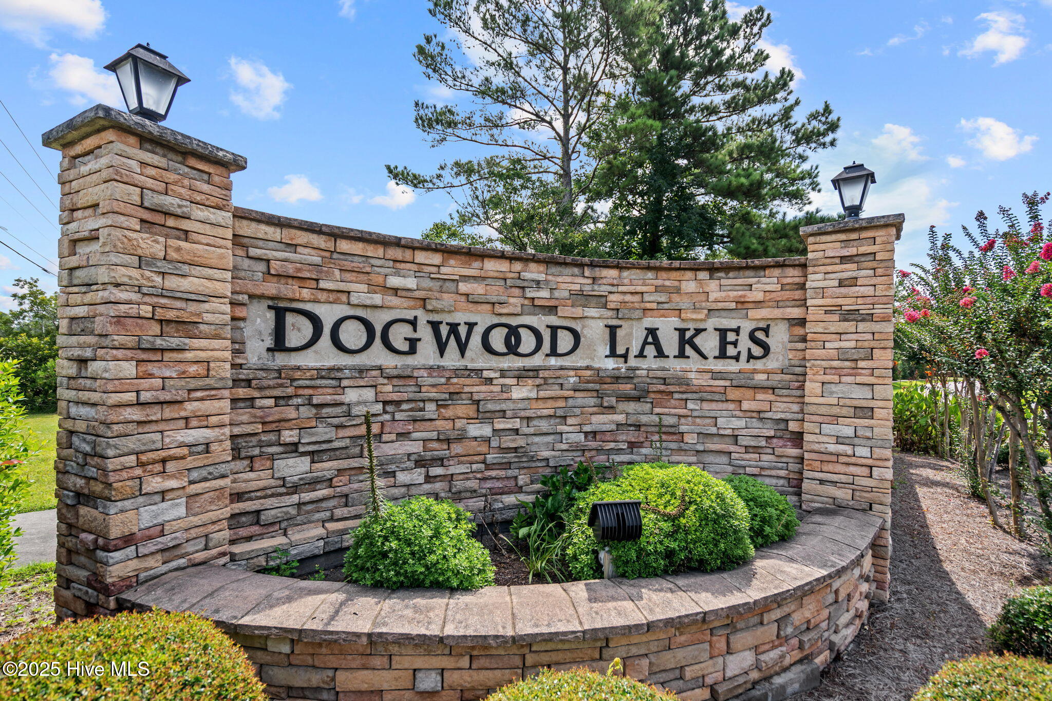 100522493 | Photo 43