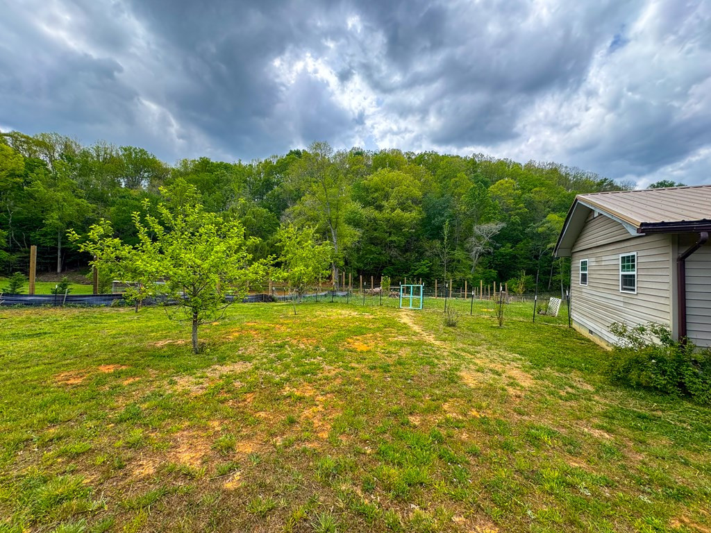 3325 Pack Mountain Road, Murphy, NC 28906 Listing Photo  41