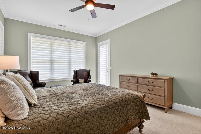 100527841 | Photo 12