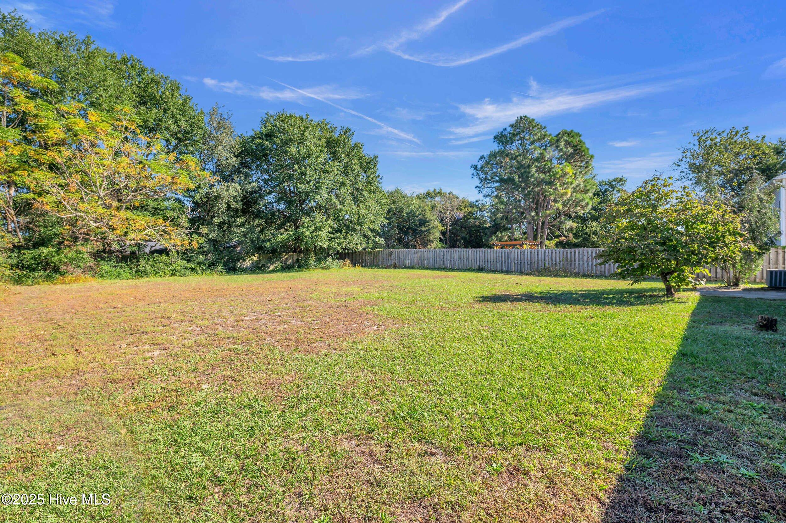 100536946 | Photo 31