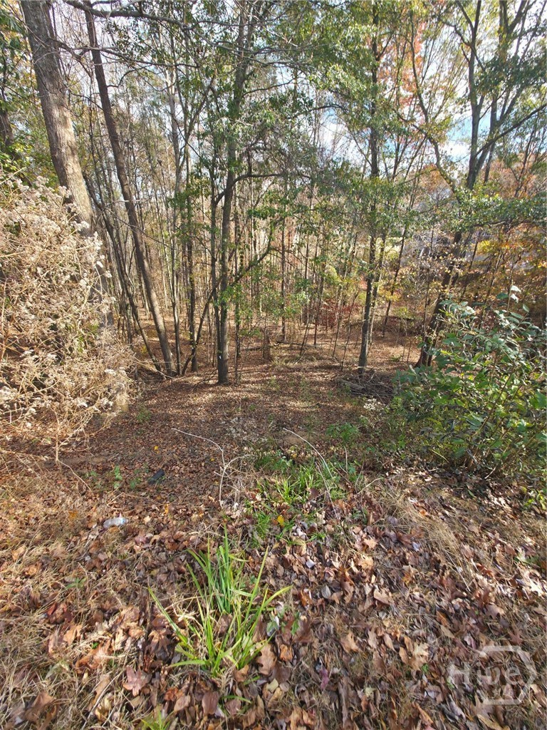 Property at 2412 Snowshoe Bend
