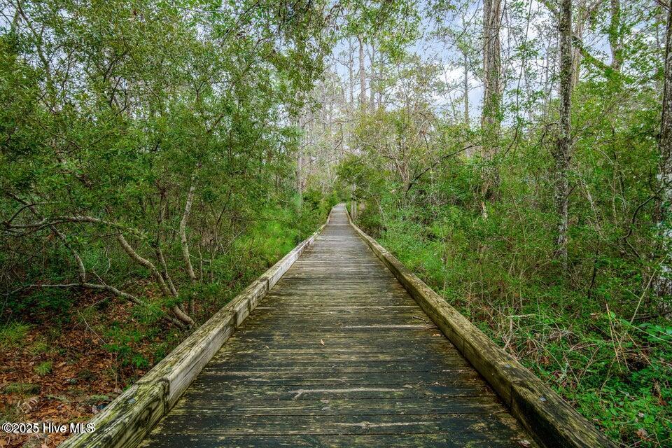 100545222 | Photo 29