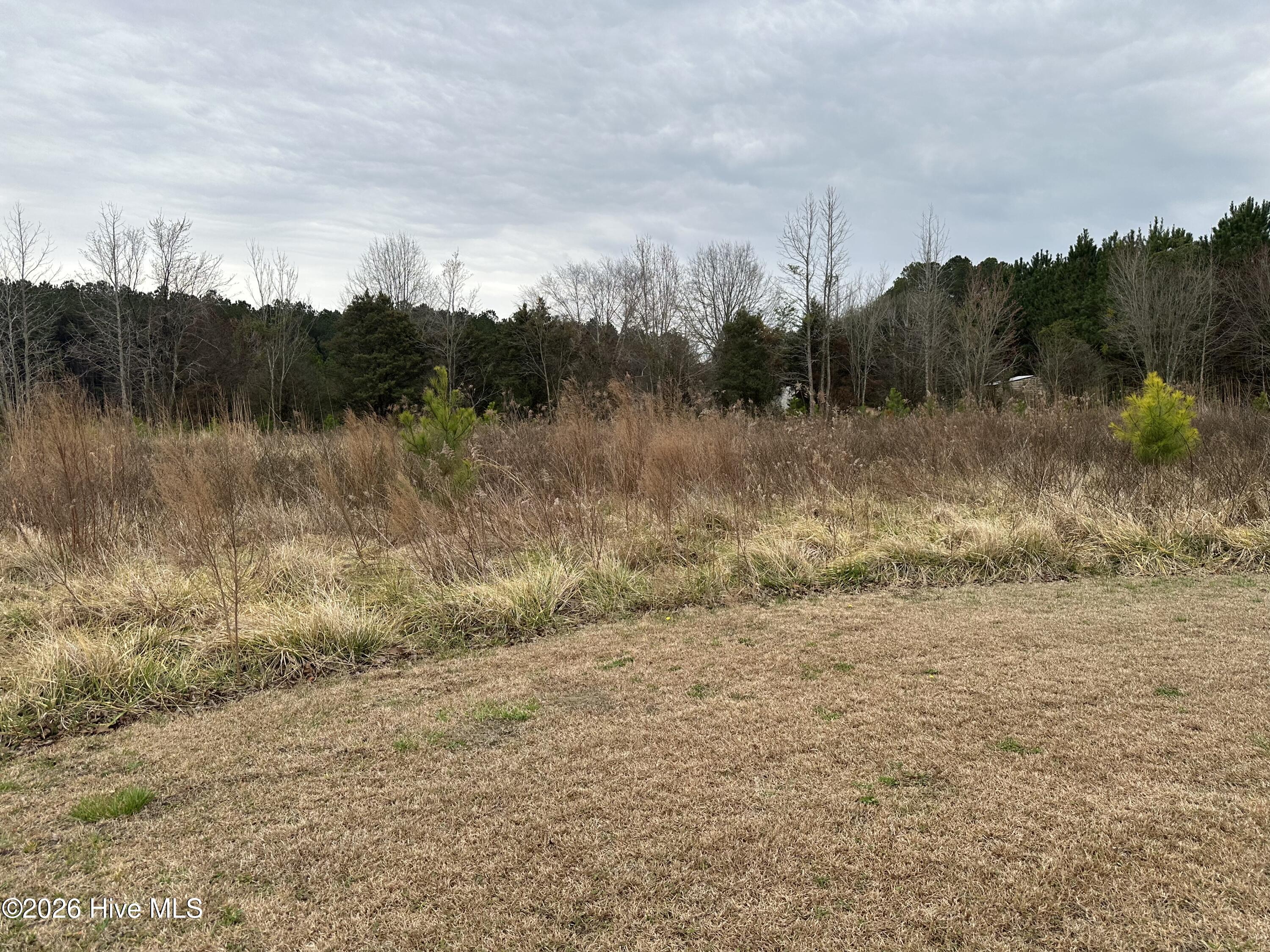 lot 1 Frazier Drive, Riceboro, GA, 31323