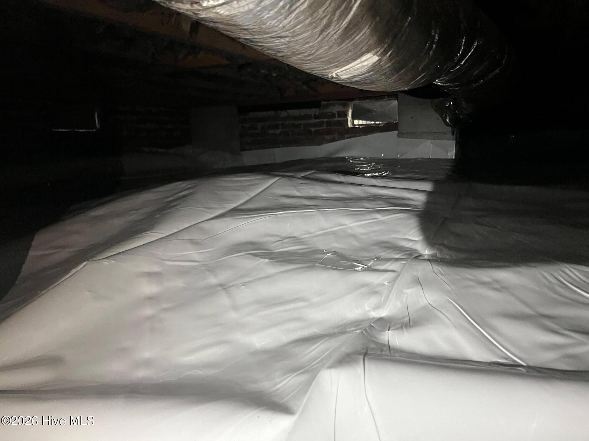 100558316 | Photo 50