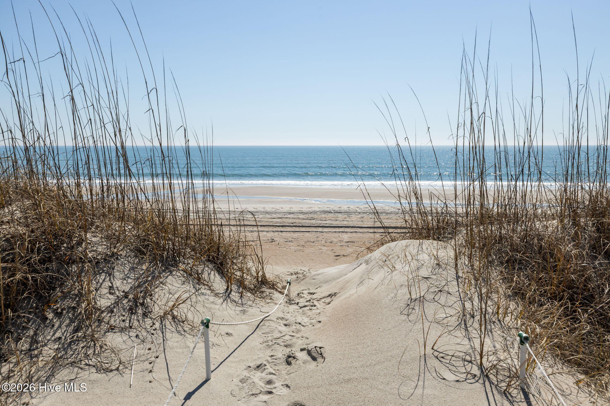 100555254 | Photo 31