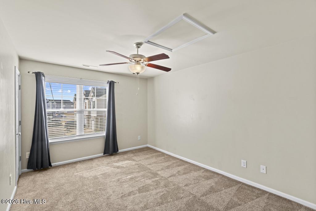 100550335 | Photo 17