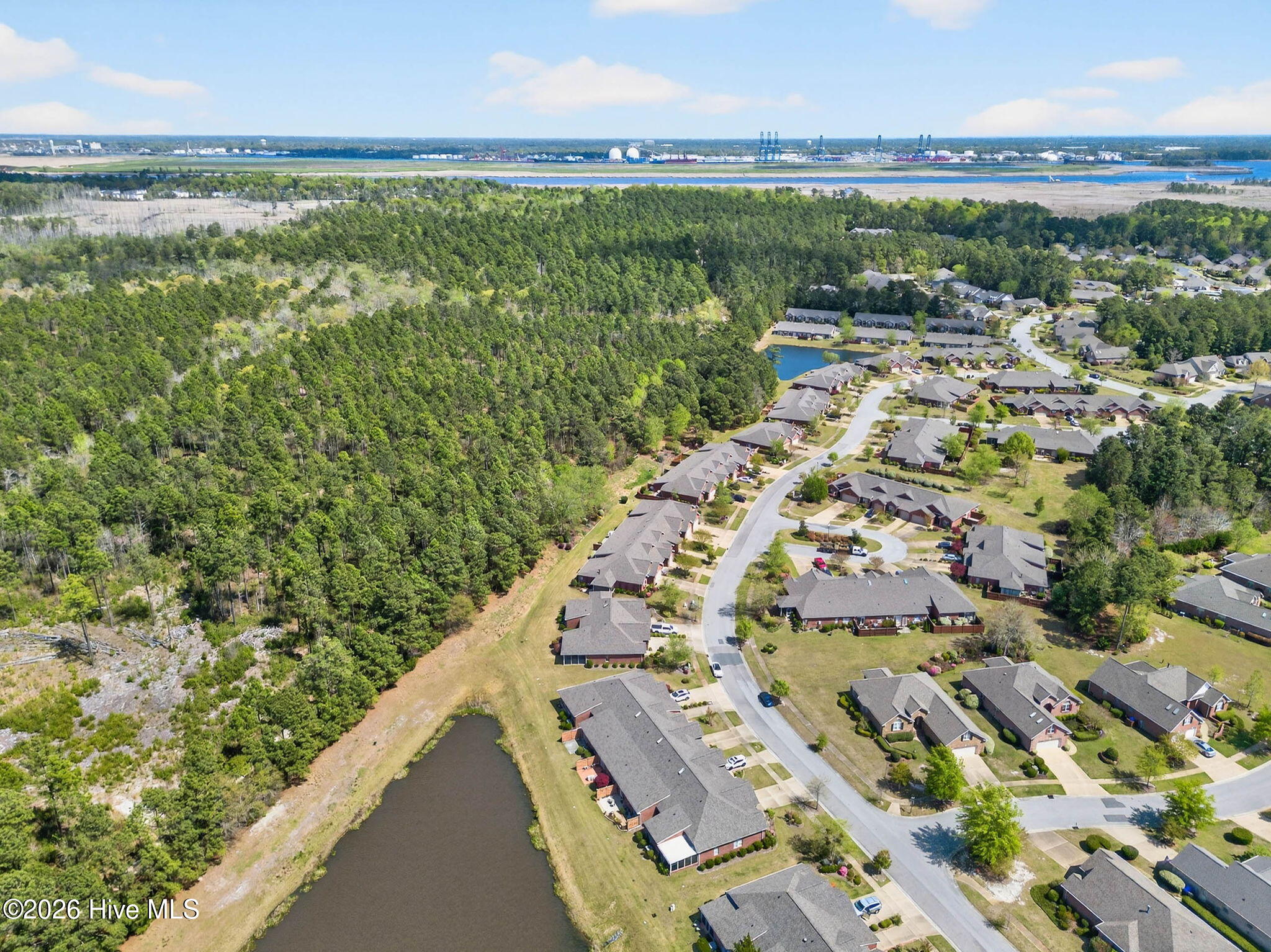 100566097 | Photo 51