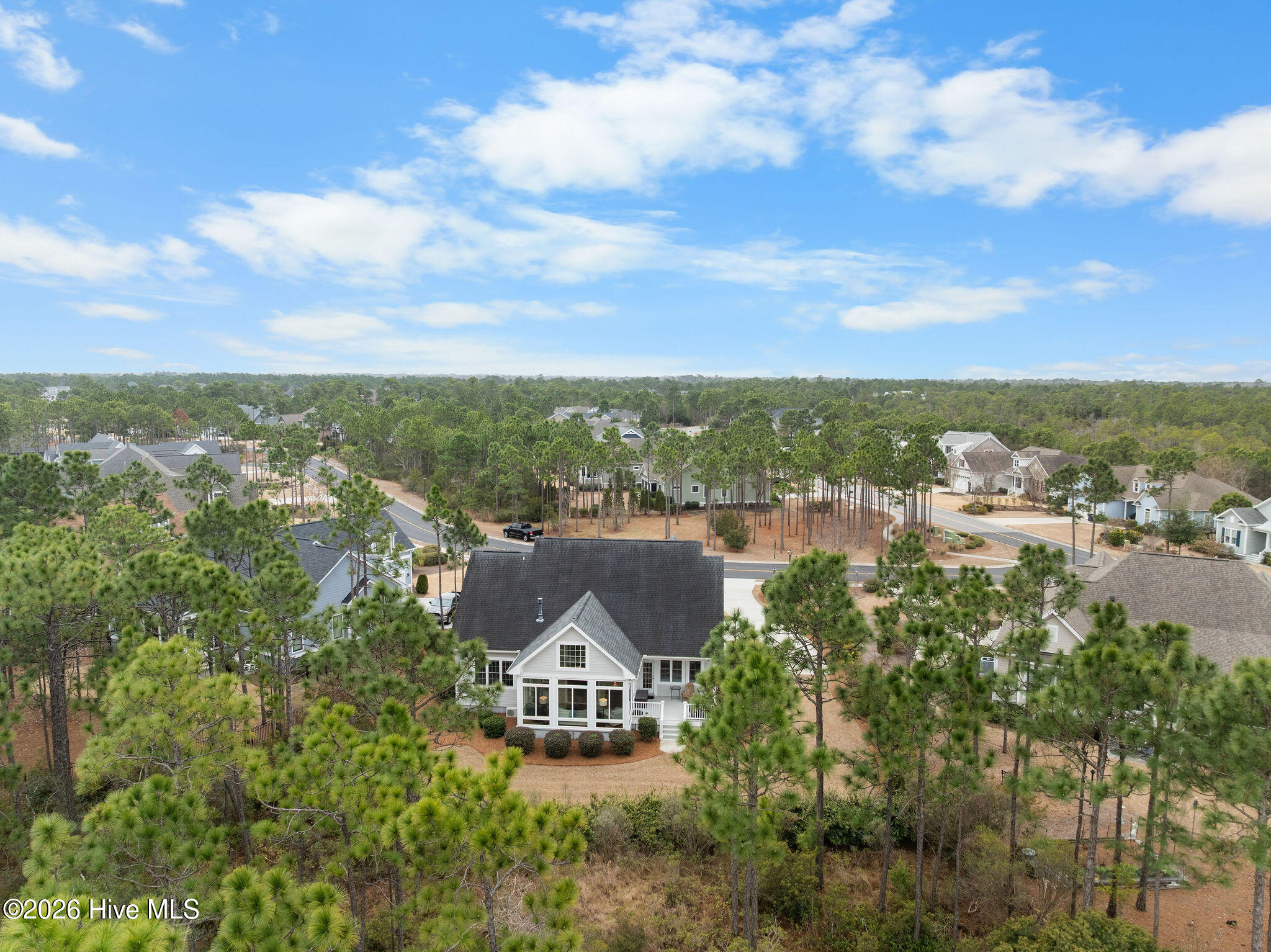 100556154 | Photo 59