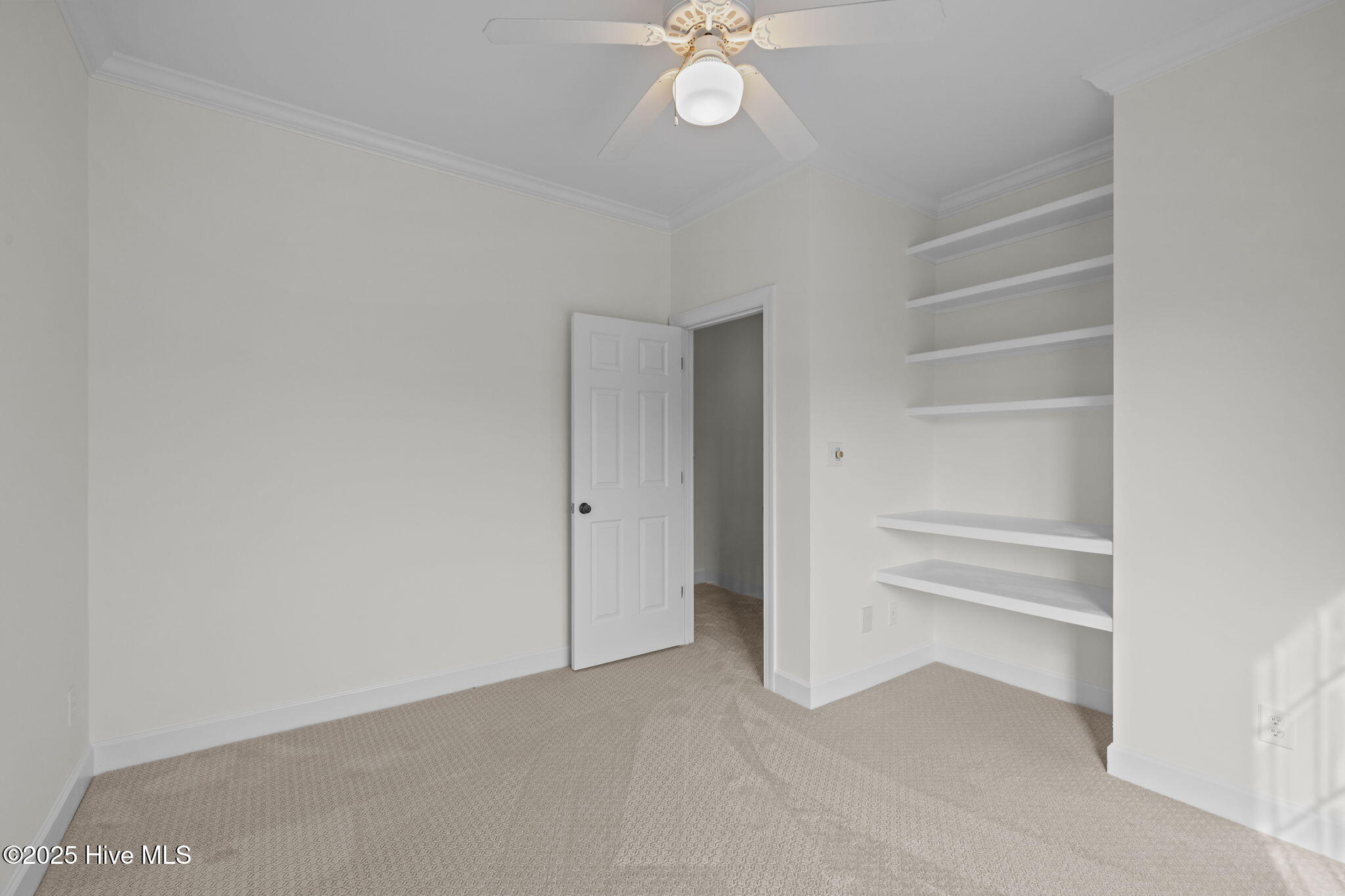 100542960 | Photo 38