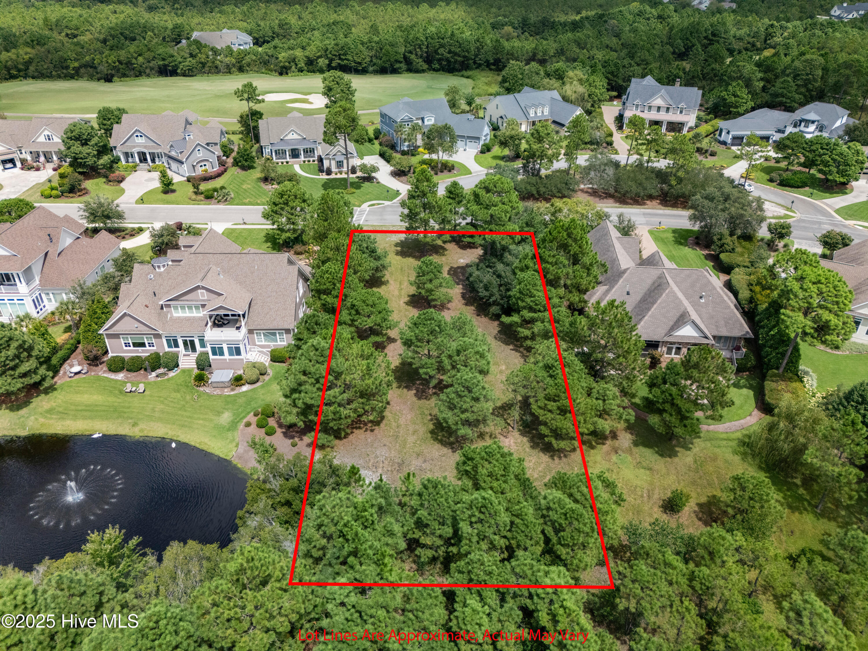 100569790 | Photo 20