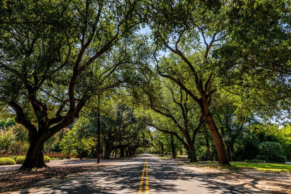 20250306225028898834000000-o