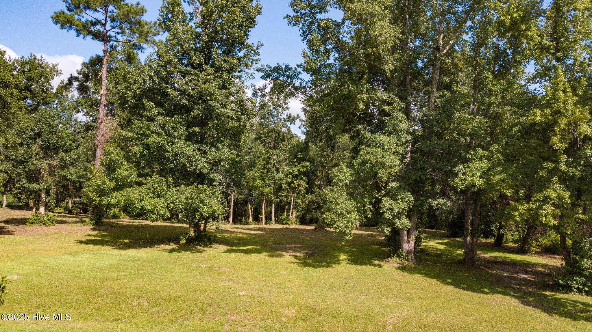 100524643 | Photo 30