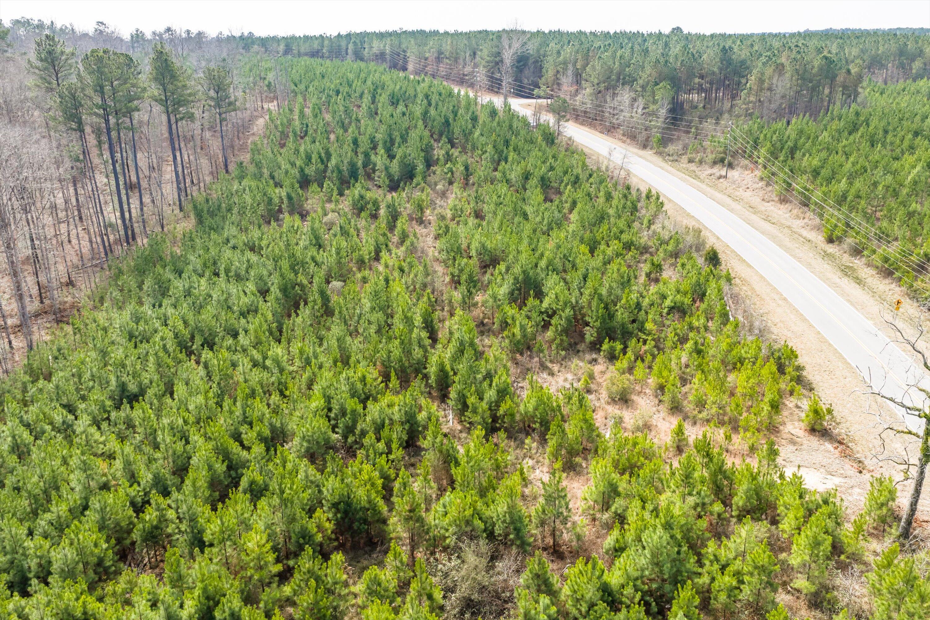 Homes for sale in Warrenton, GA | 1398 Mauldin Rd, Warrenton, GA 30828 | MLS# 552436