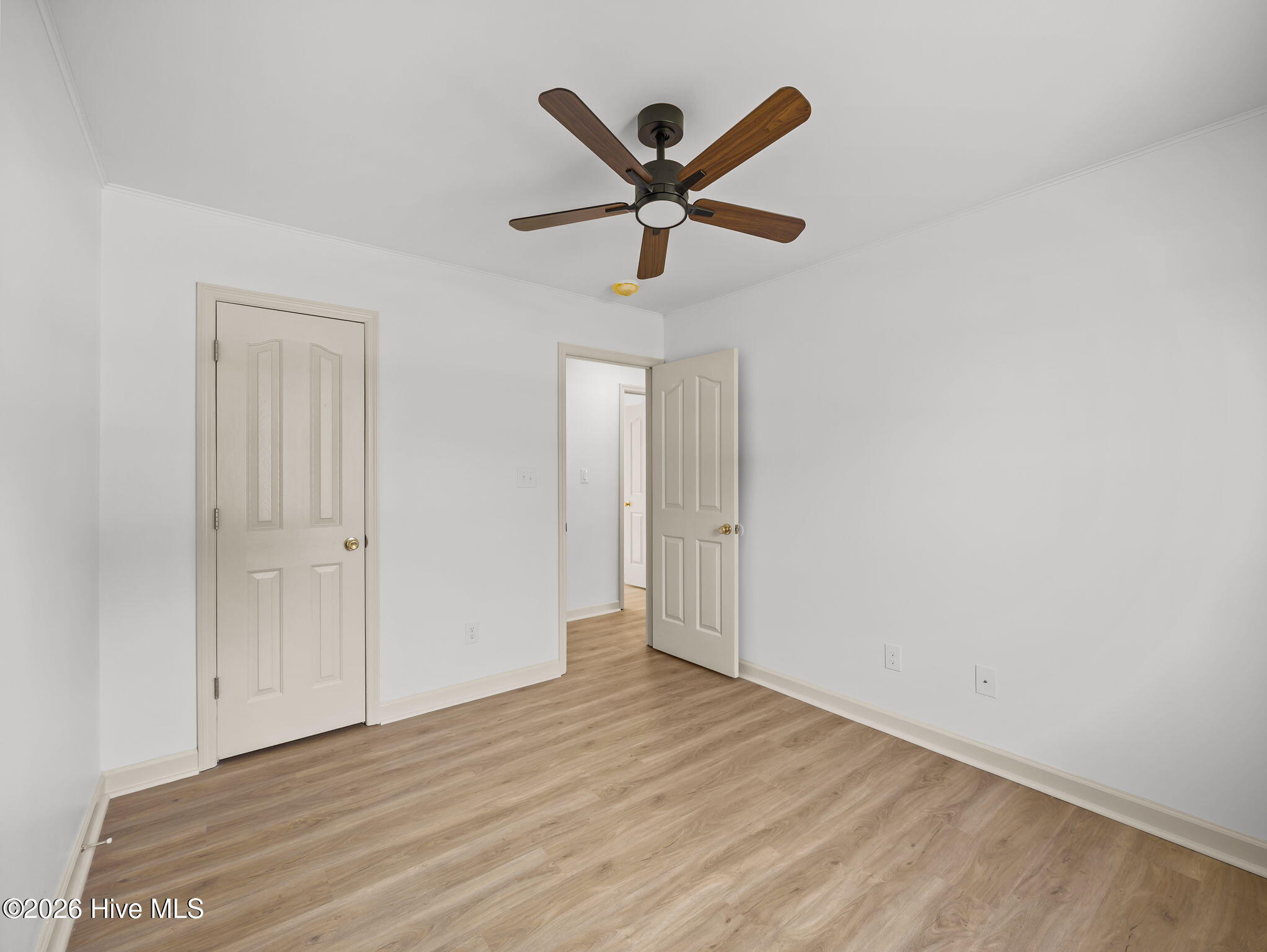 100565884 | Photo 27