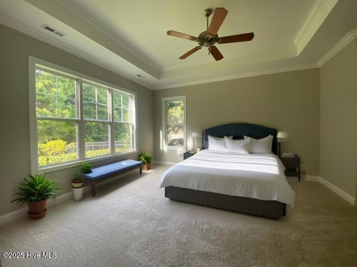 100504440 | Photo 12