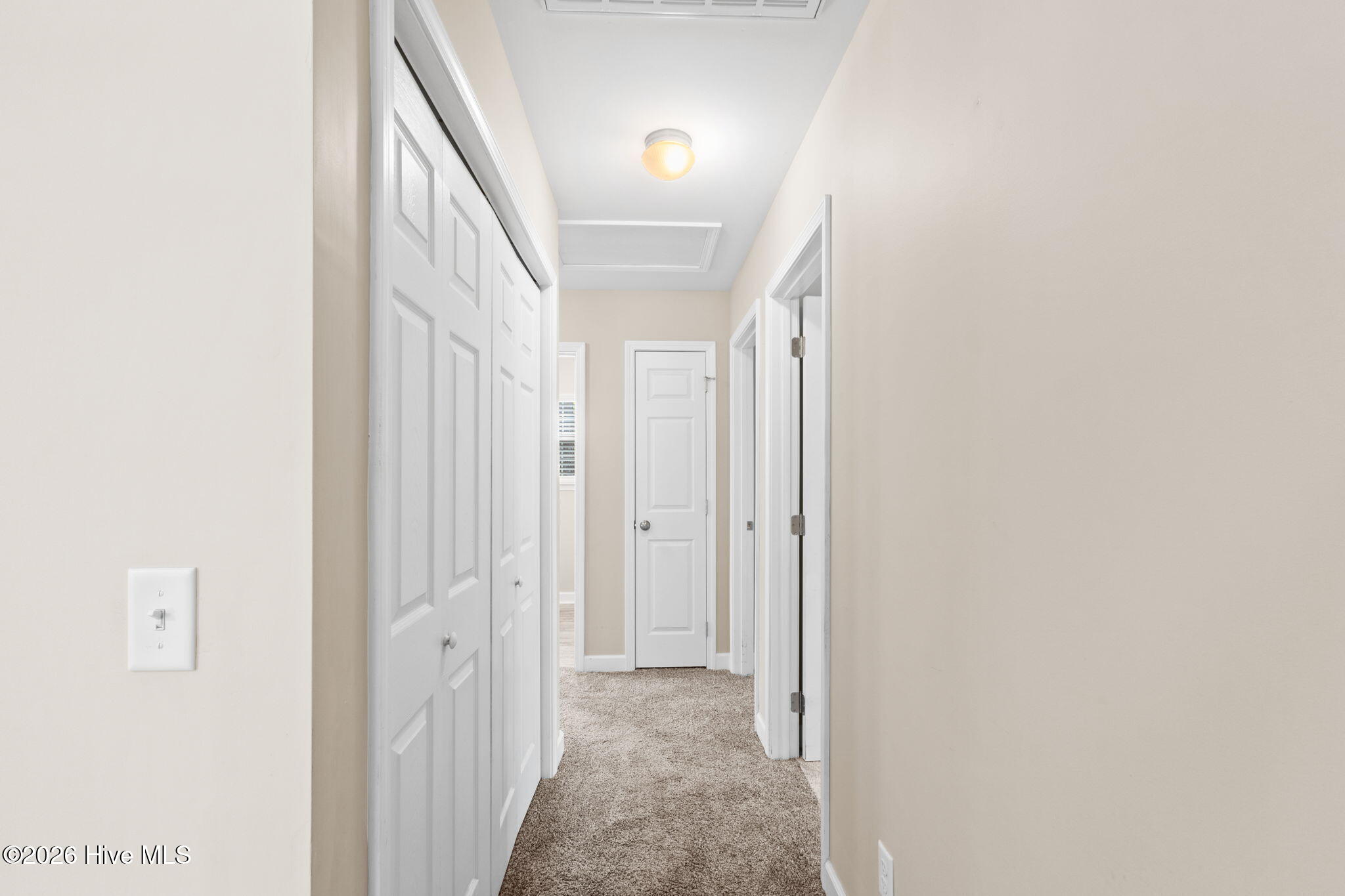 100554098 | Photo 16