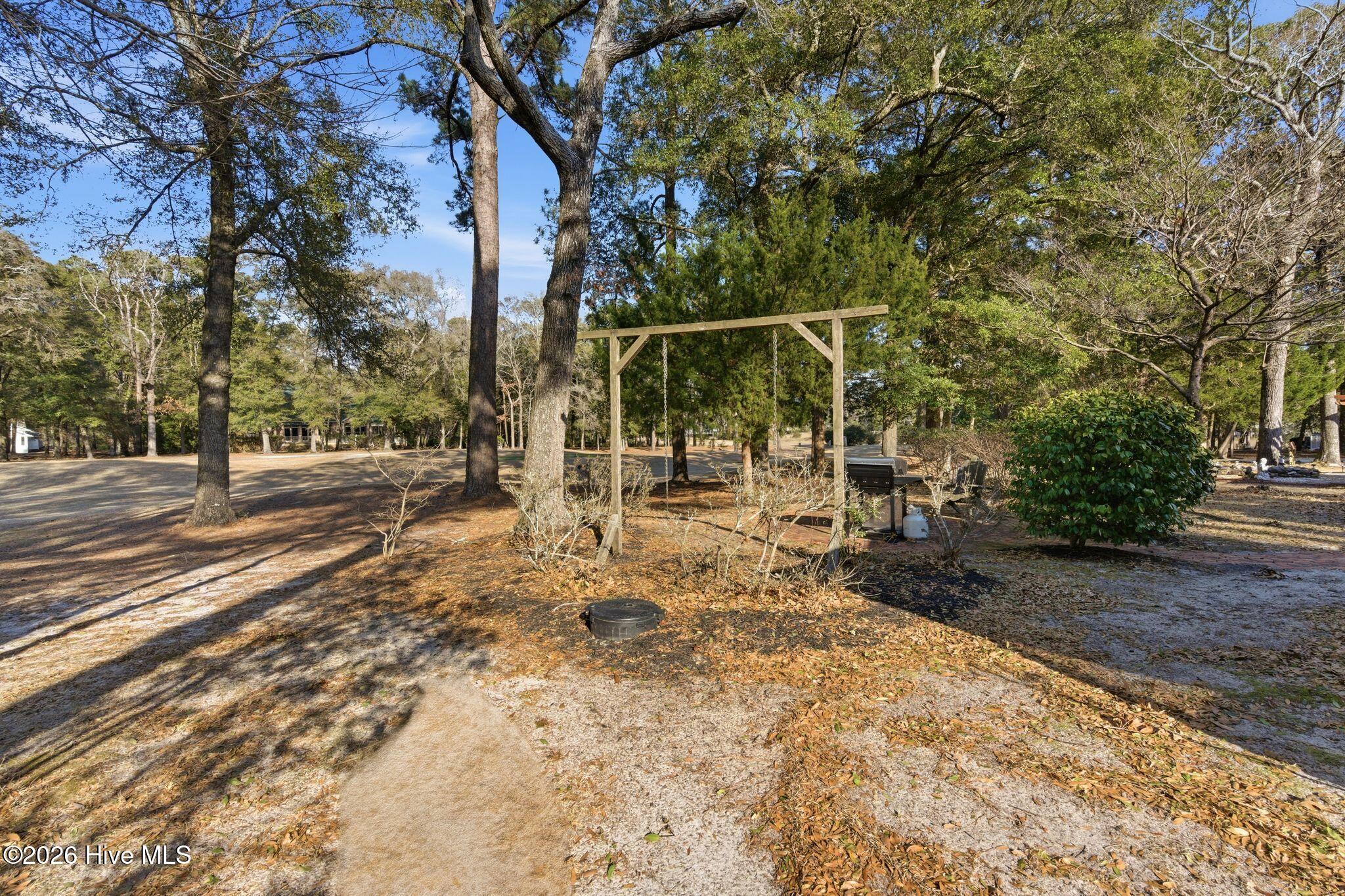 100555481 | Photo 61