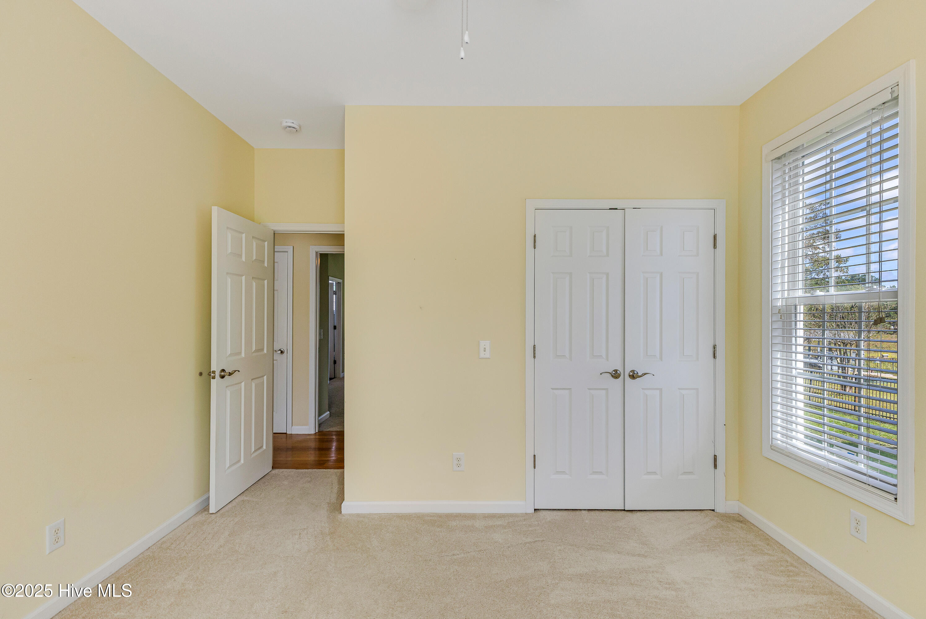 100535789 | Photo 23