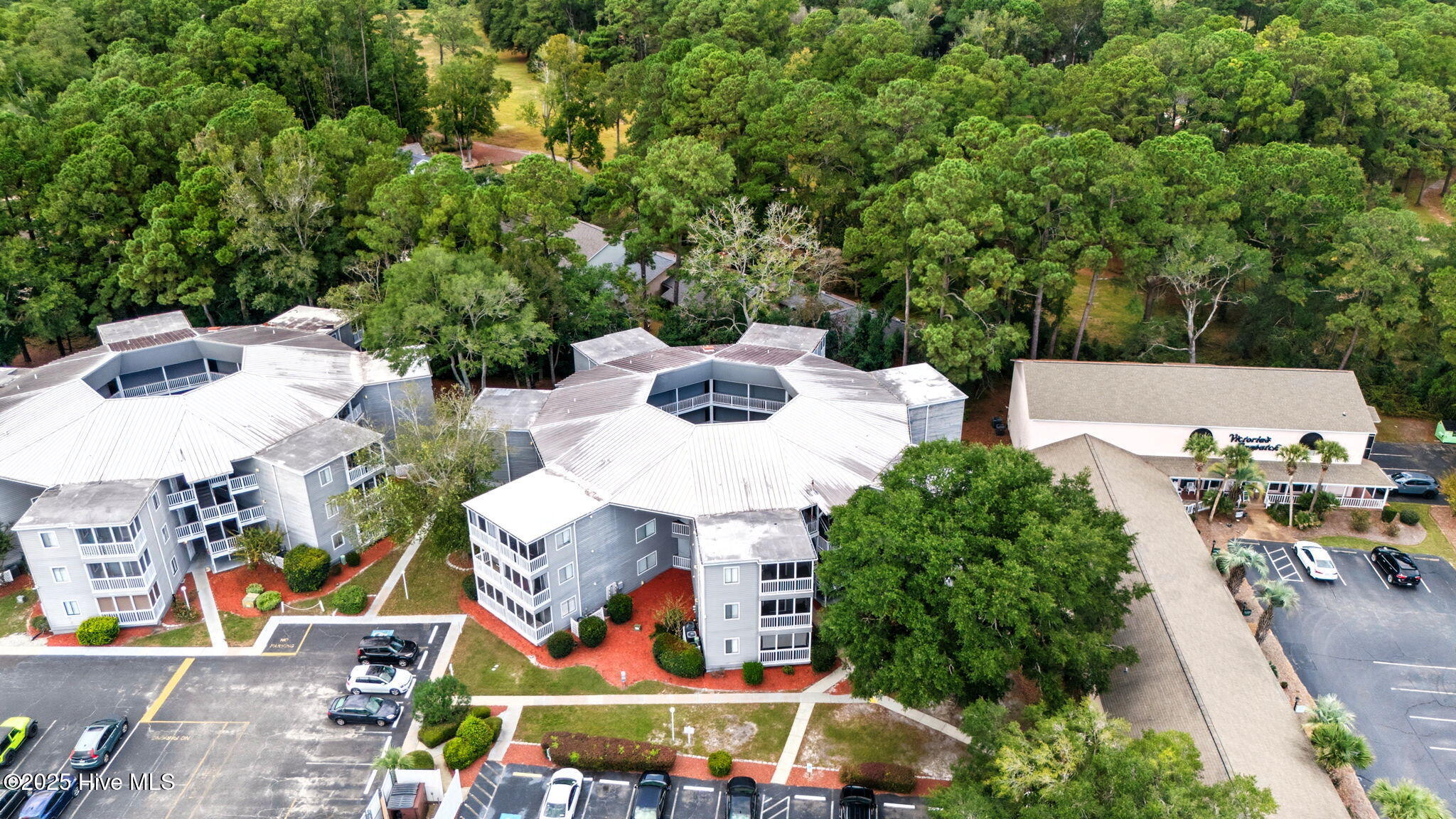 100535157 | Photo 34