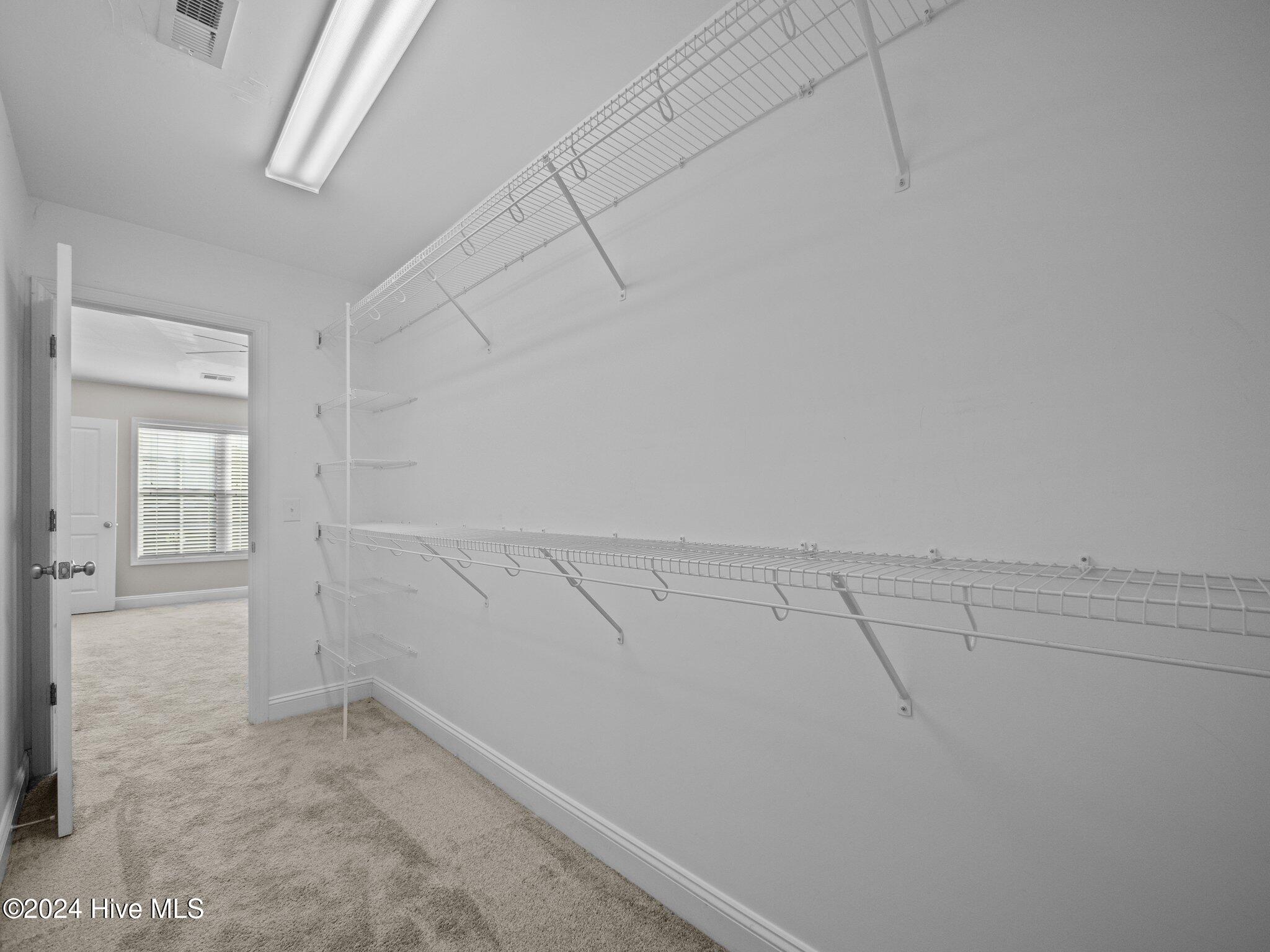 100567812 | Photo 13