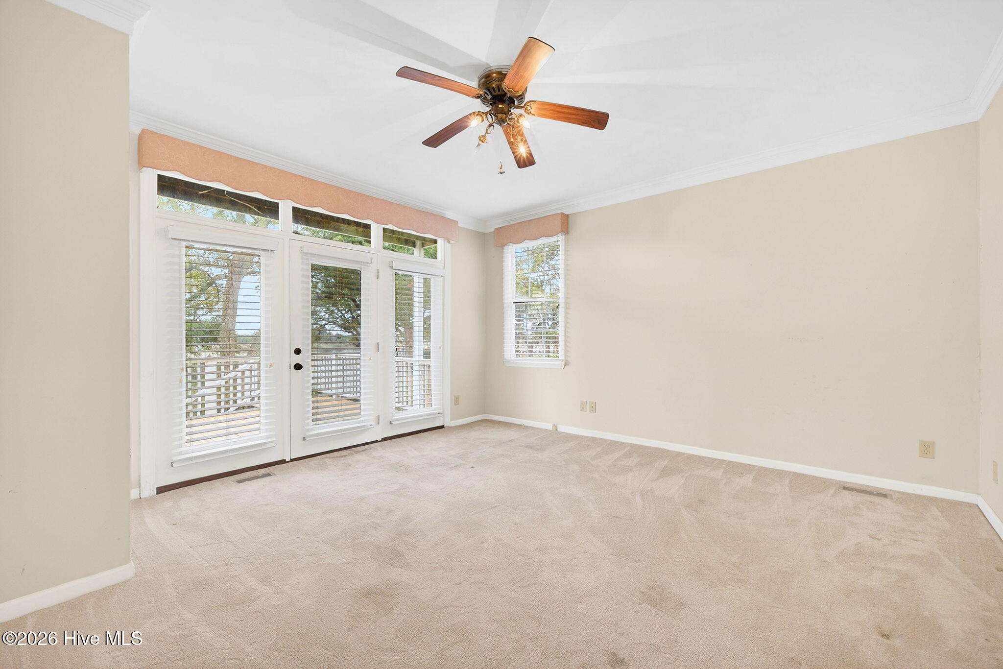 100559541 | Photo 32