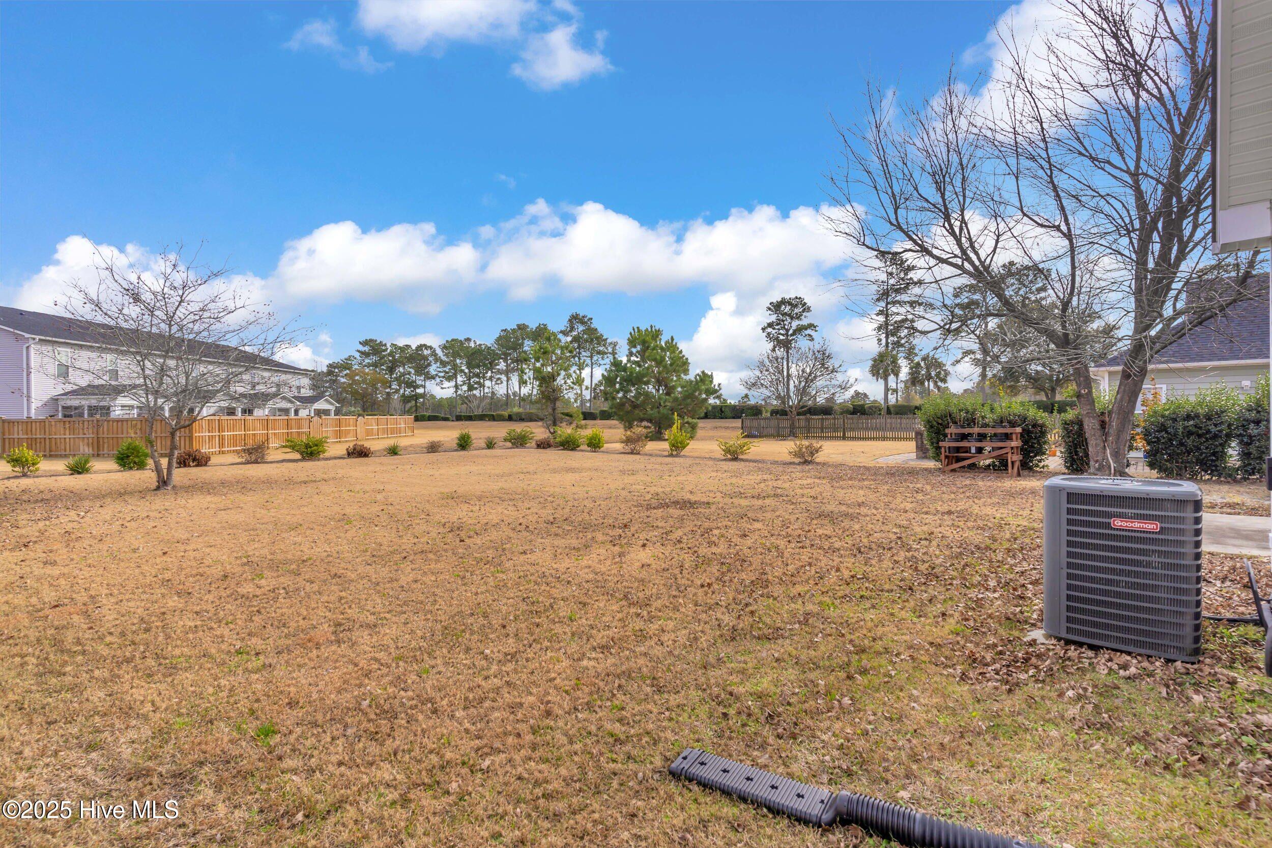 100546029 | Photo 33