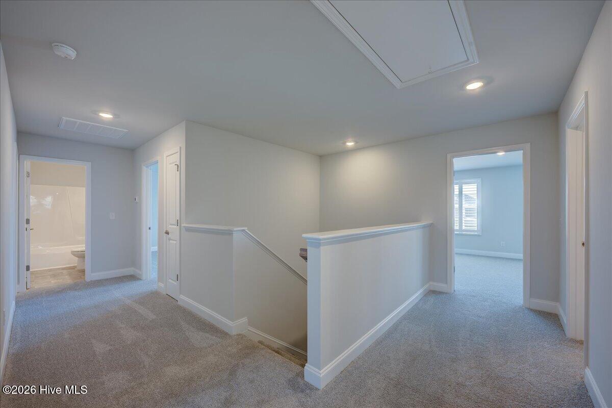 2024 Medina Spirit Street,New Bern