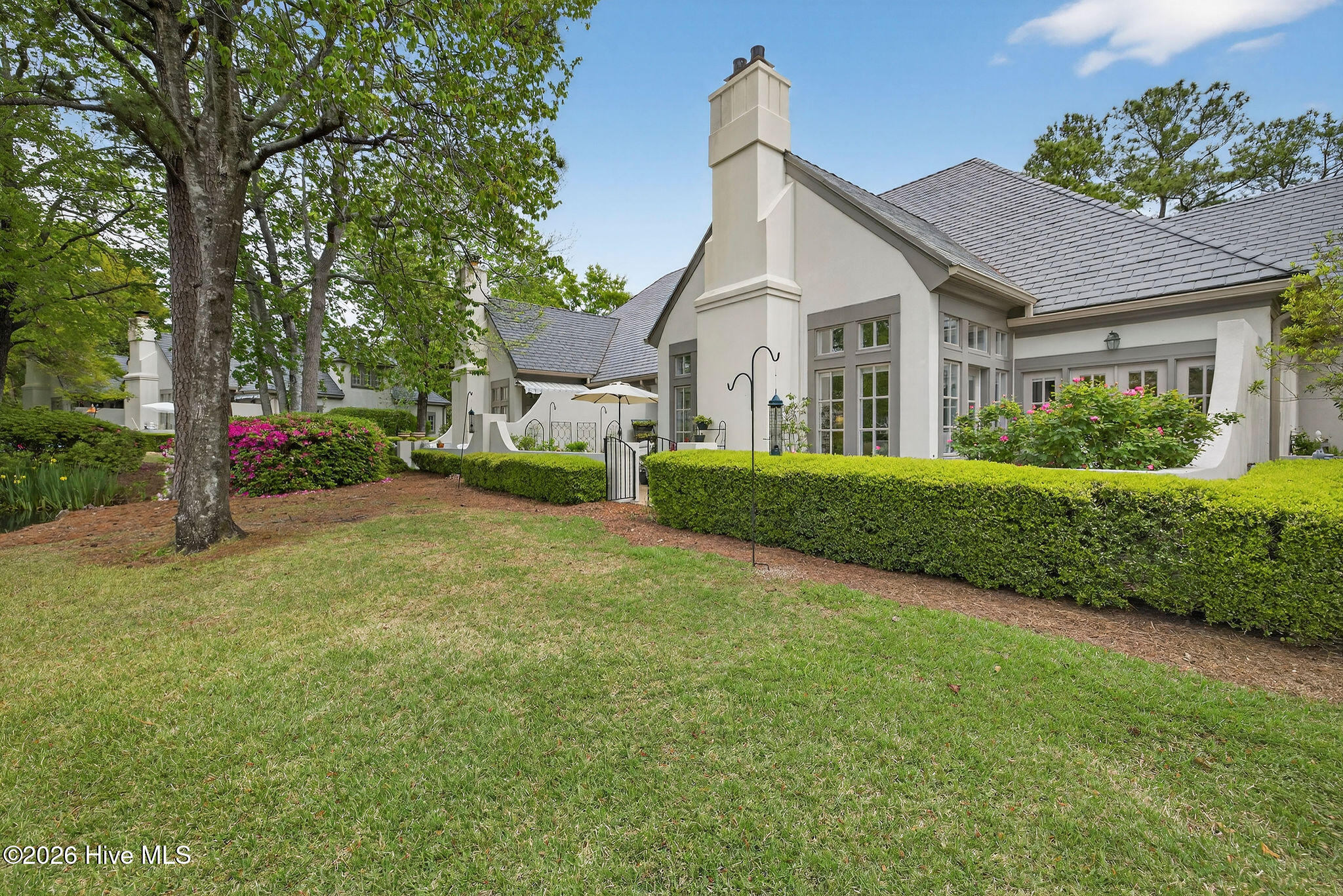 100565960 | Photo 21