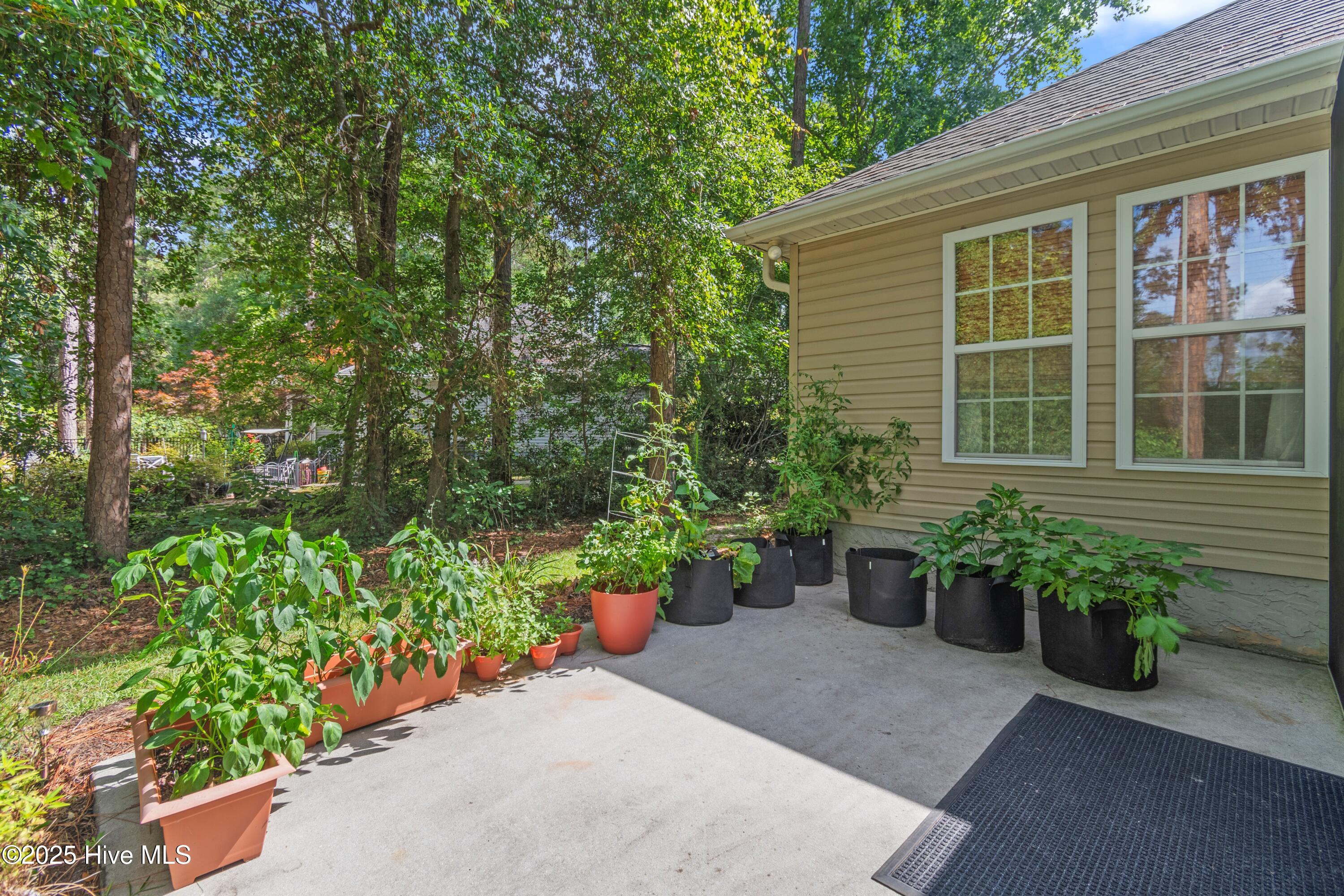 100517176 | Photo 31