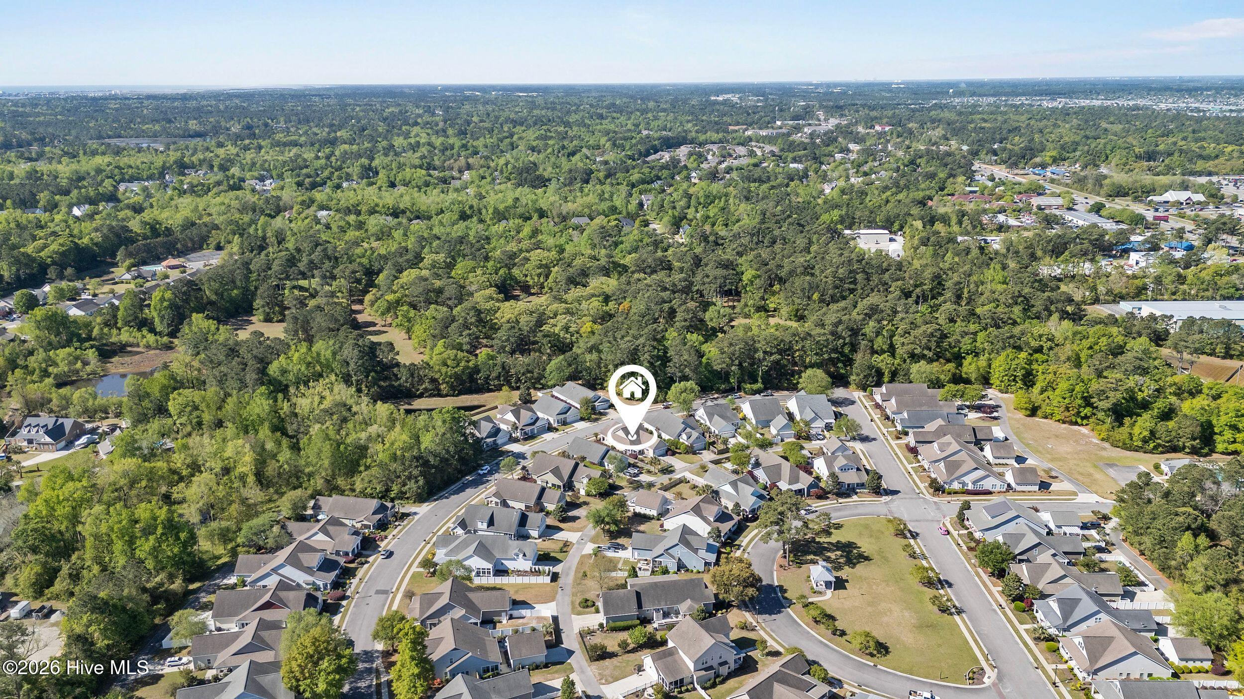 100567413 | Photo 41